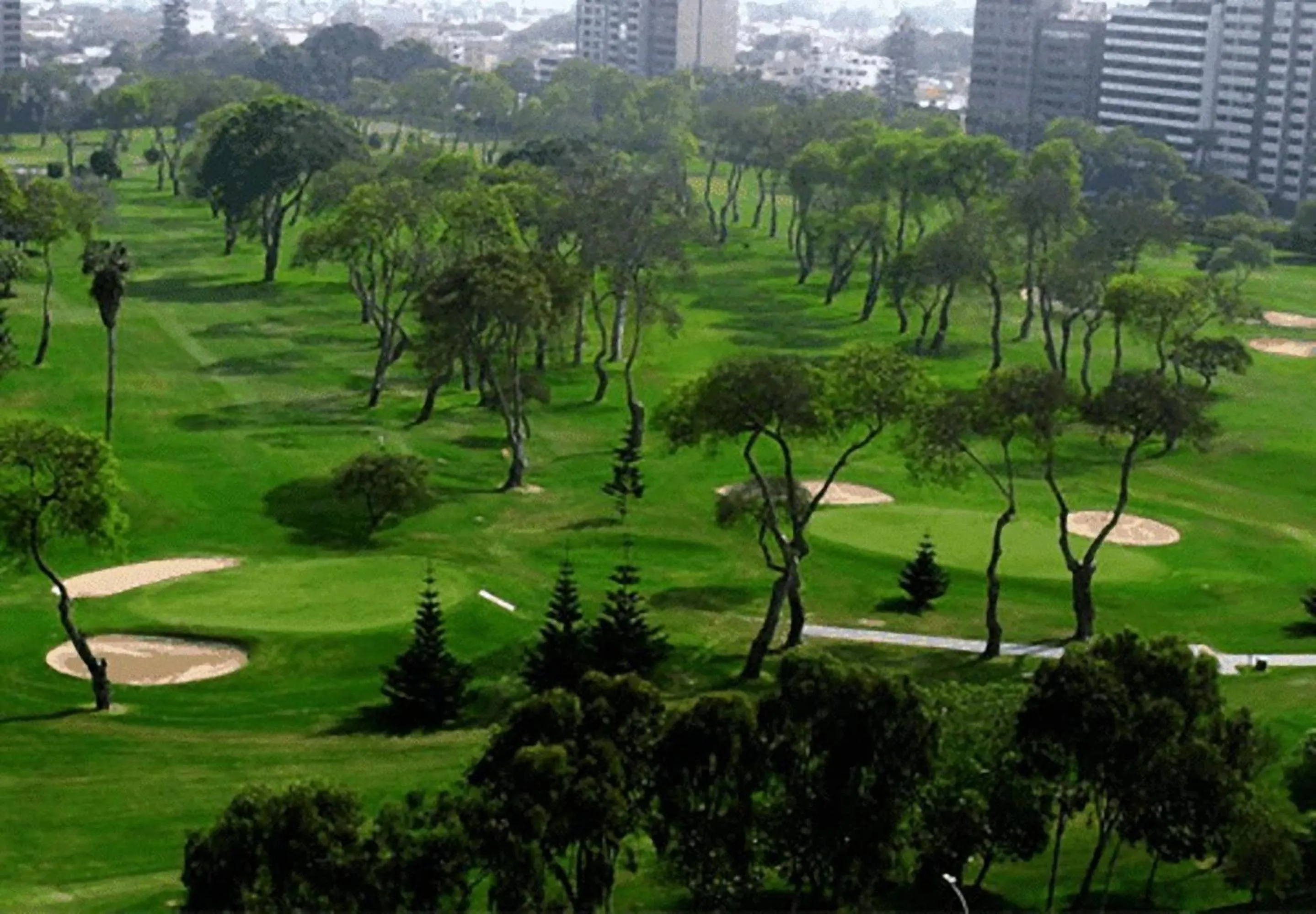 View (from property/room) in Delfines Hotel & Convention Center