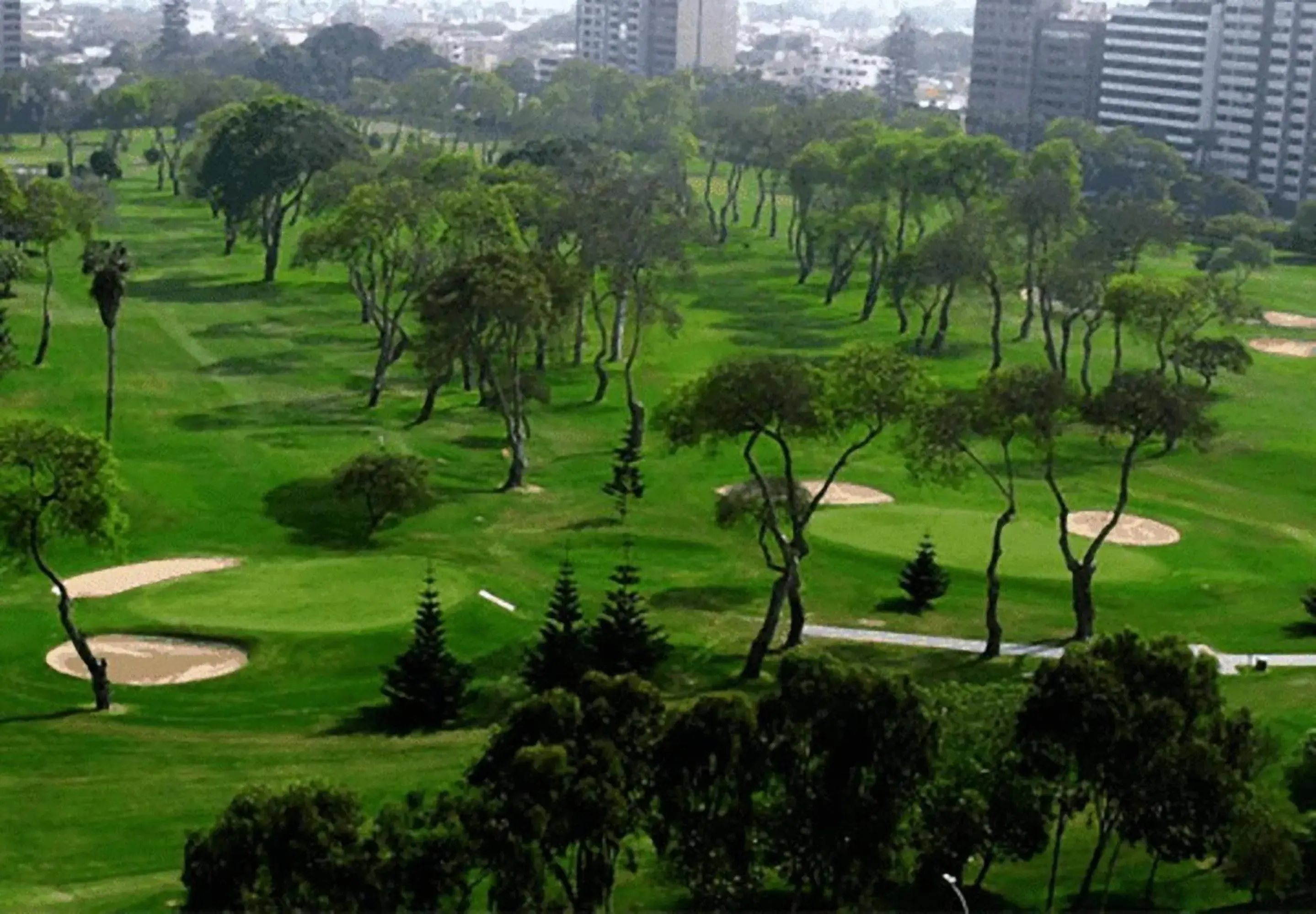 View (from property/room) in Delfines Hotel & Convention Center View (from property/room) in Delfines Hotel & Convention Center