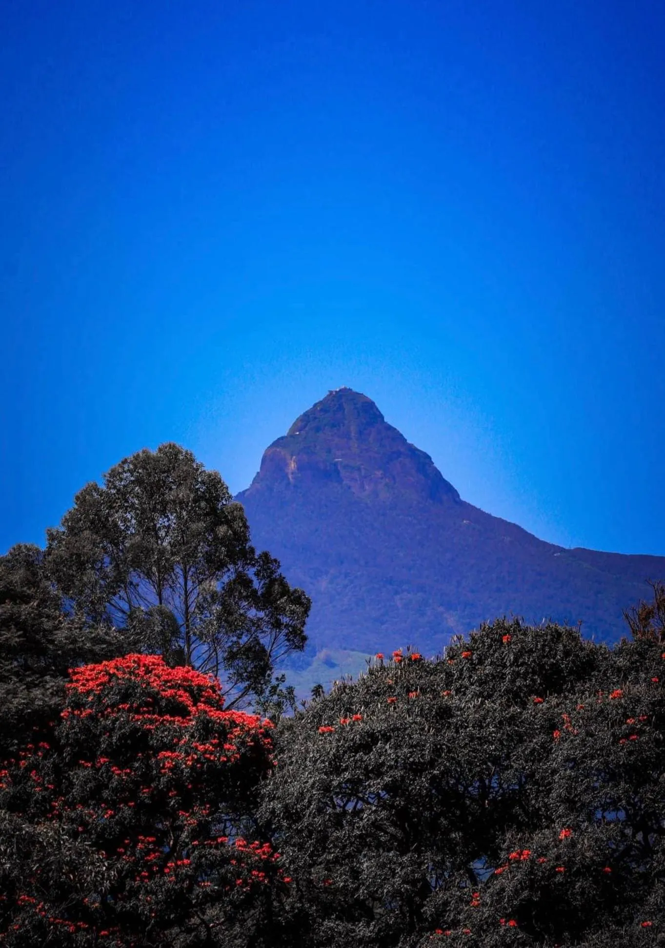 Adams Peak Inn
