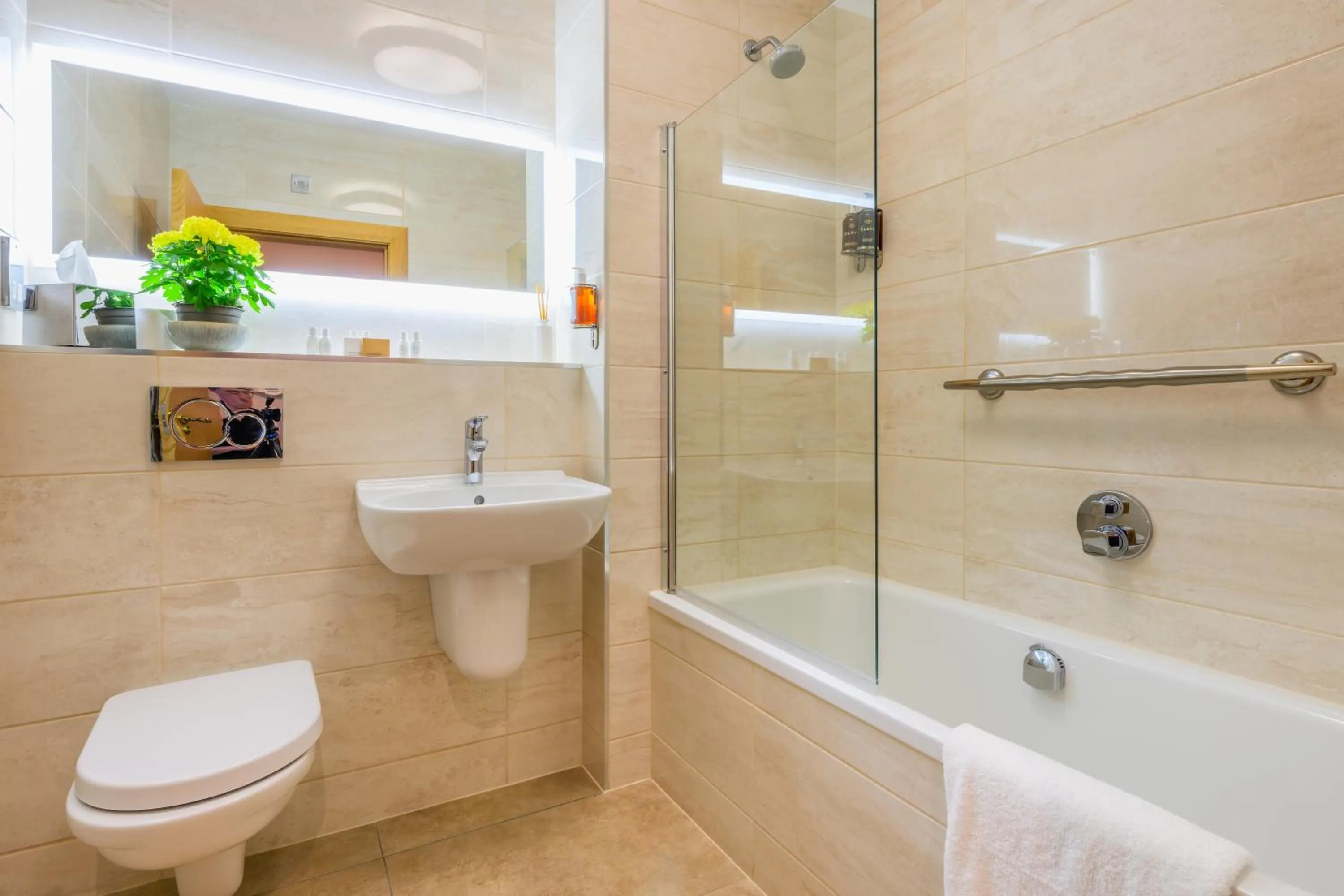 Toilet in Flagstaff Lodge