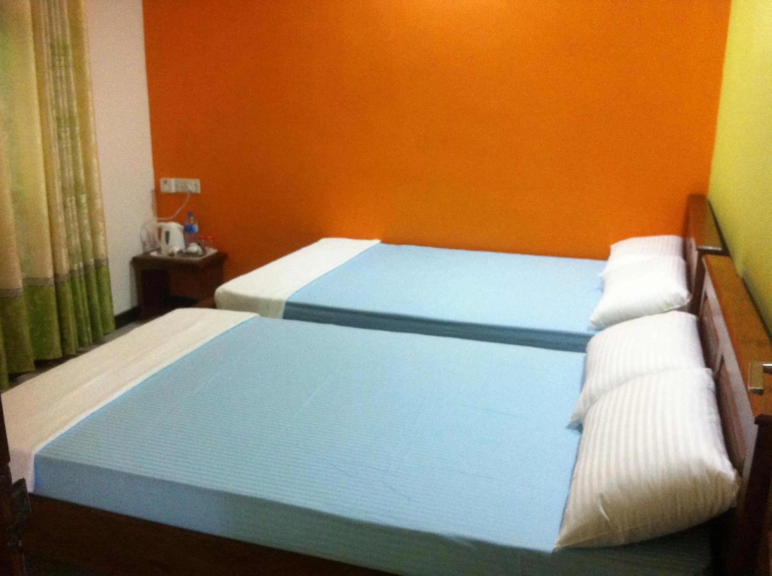 Deluxe Double or Twin Room in Bee Nest Bed & Breakfast