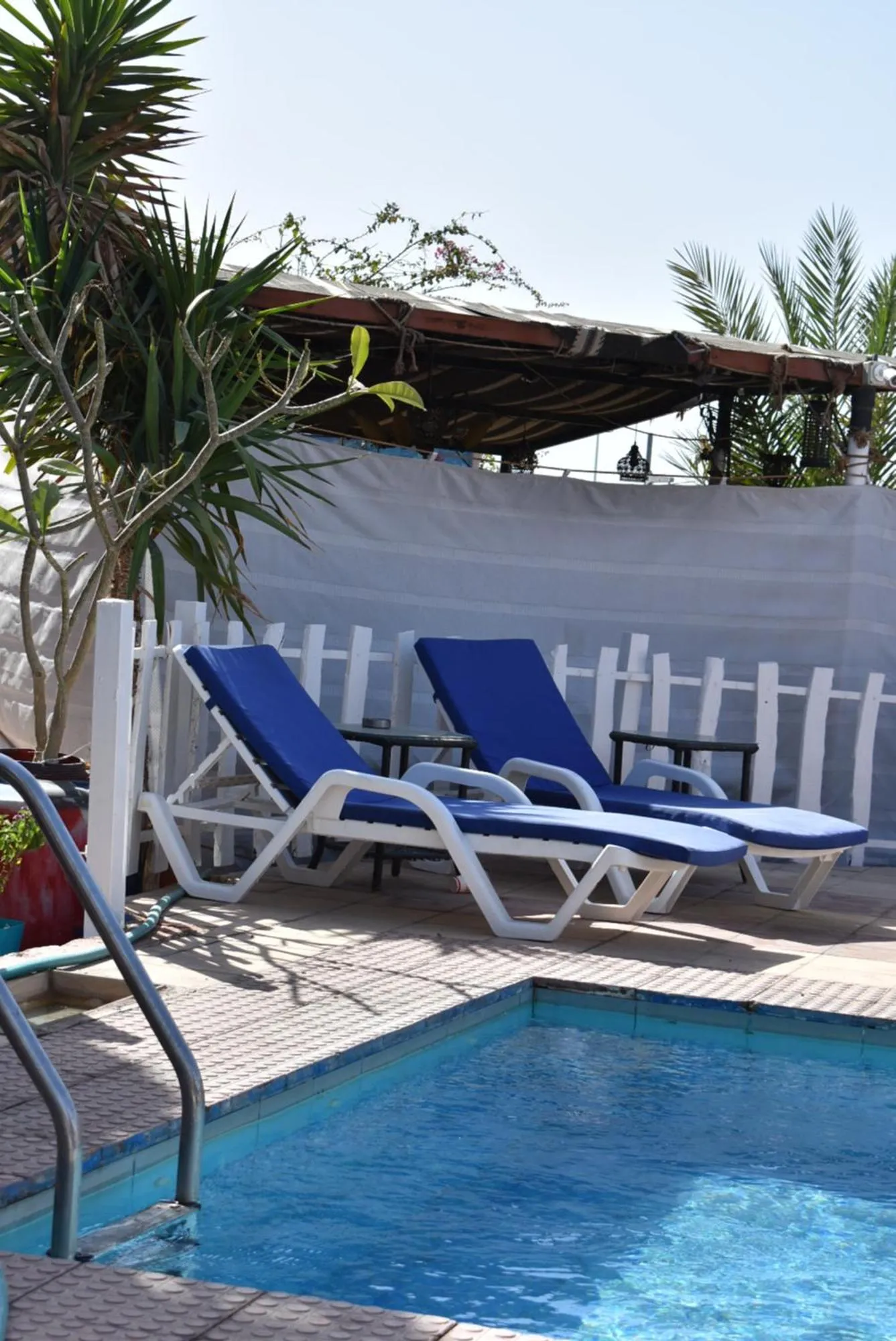 Swimming pool in Bedouin Garden Village, hotel Dive