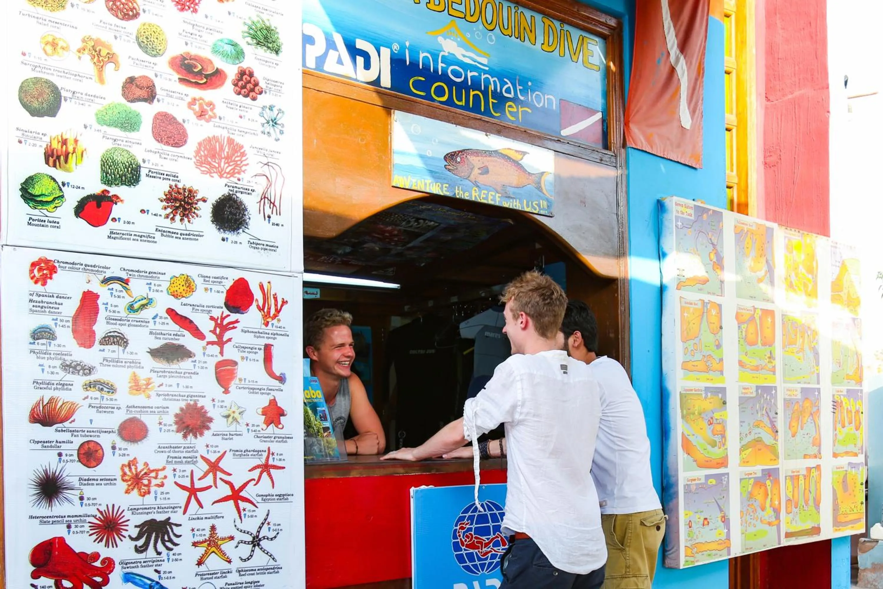 Diving in Bedouin Garden Village, hotel Dive