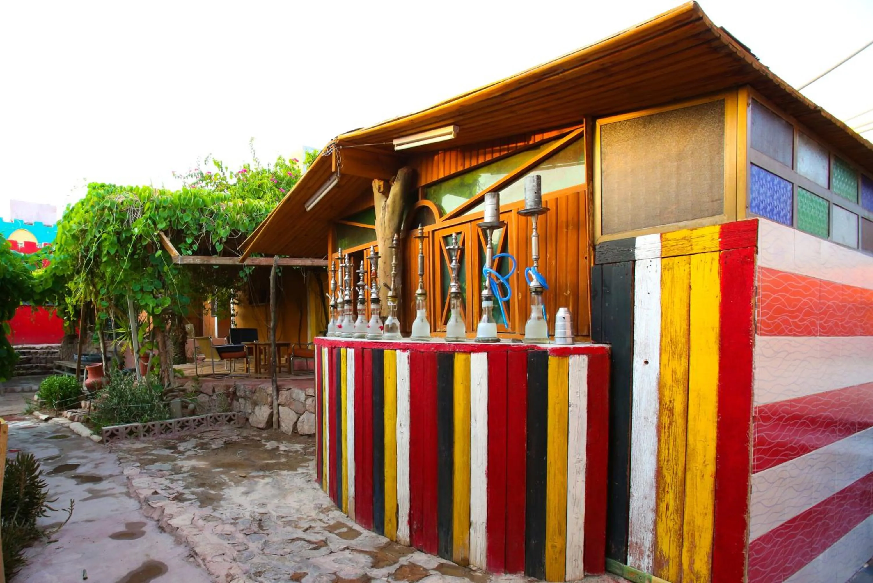 Entertainment in Bedouin Garden Village, hotel Dive