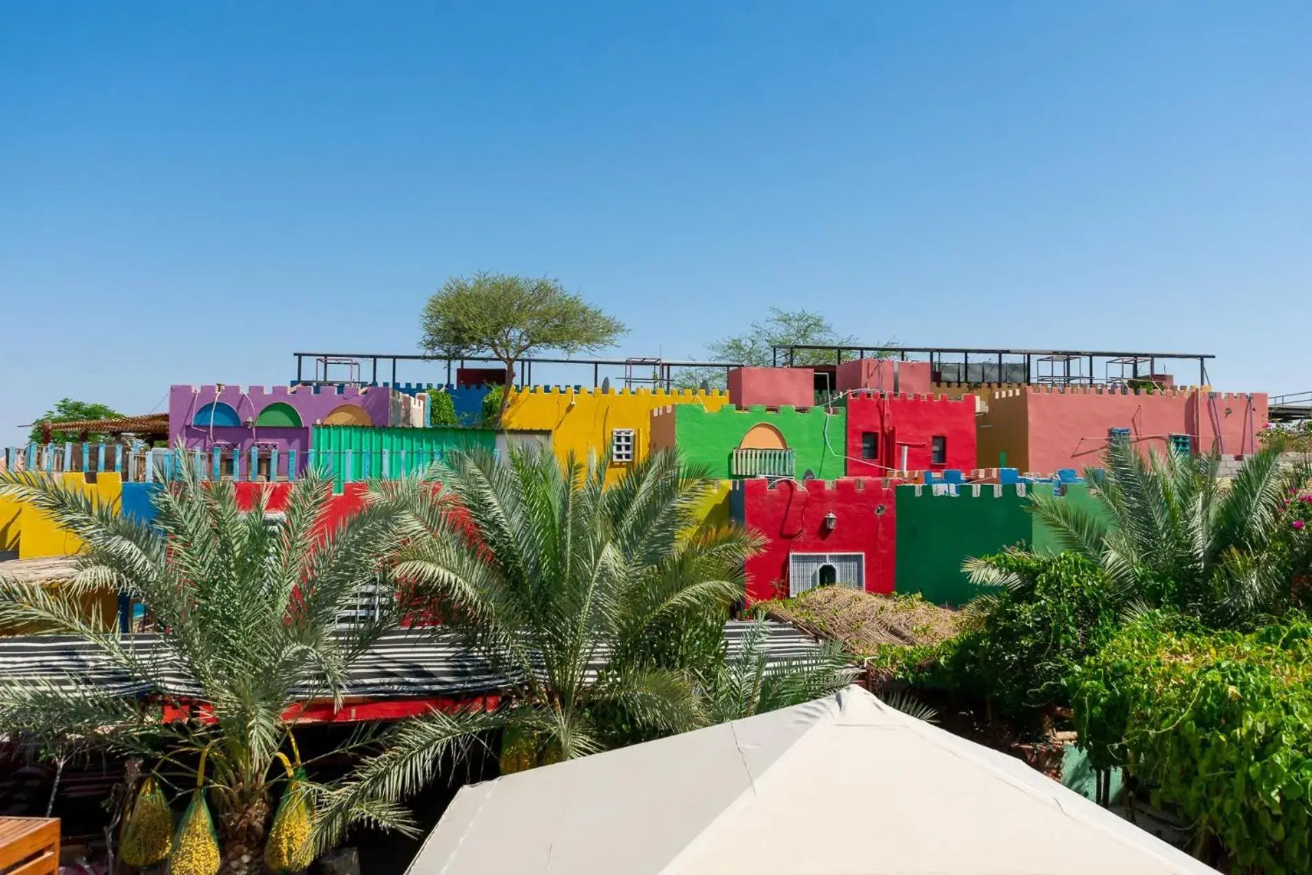 Photo of the whole room in Bedouin Garden Village, hotel Dive Photo of the whole room in Bedouin Garden Village, hotel Dive