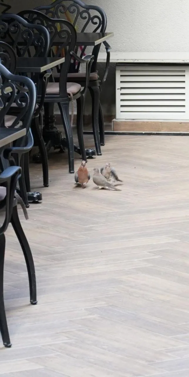 Restaurant/places to eat in Keten Suites Taksim