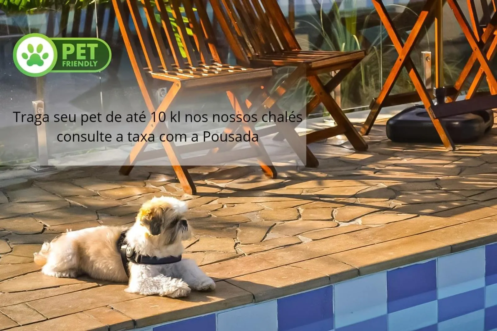 Pets in Pousada do Sol