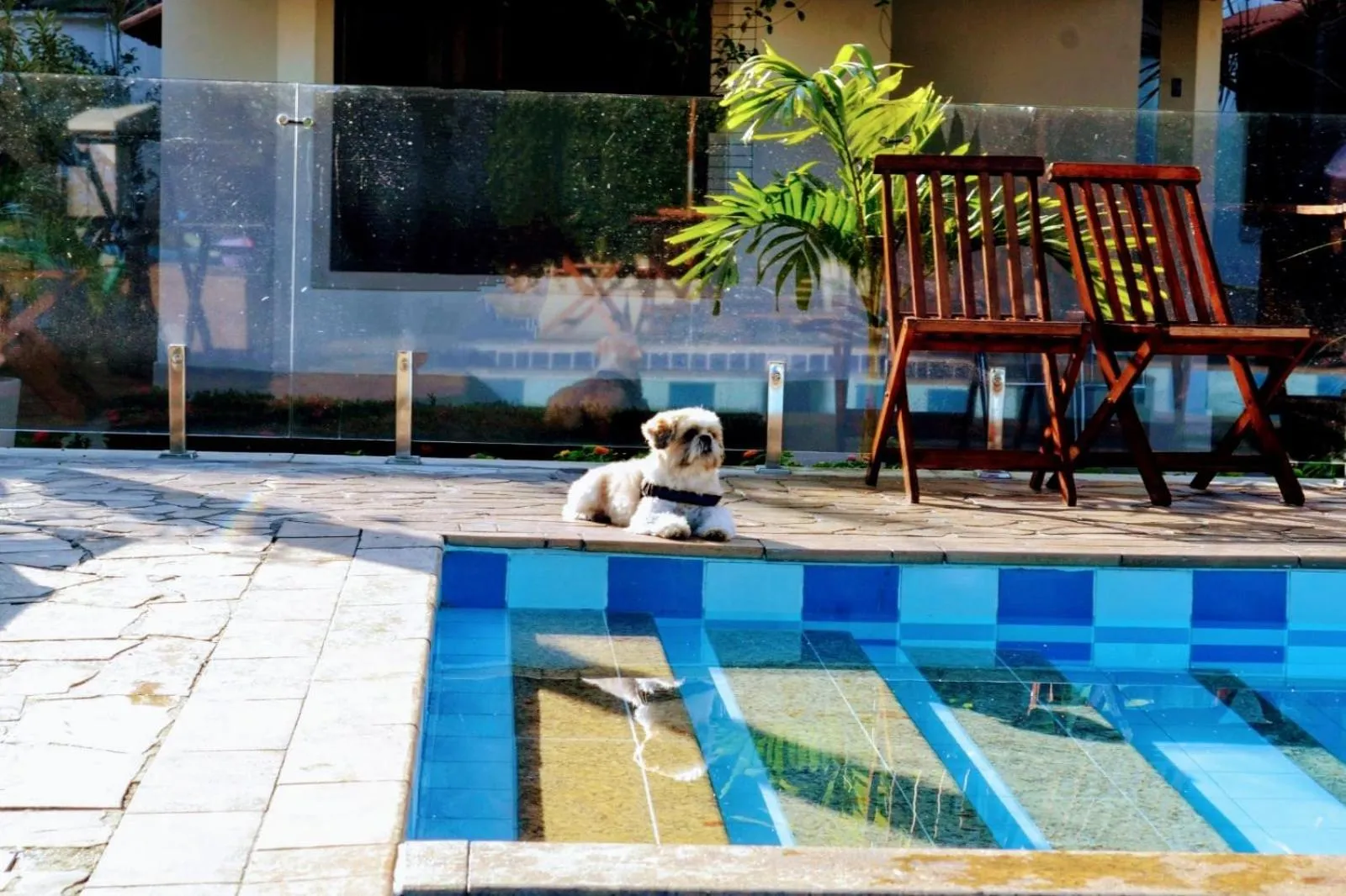 Swimming pool in Pousada do Sol