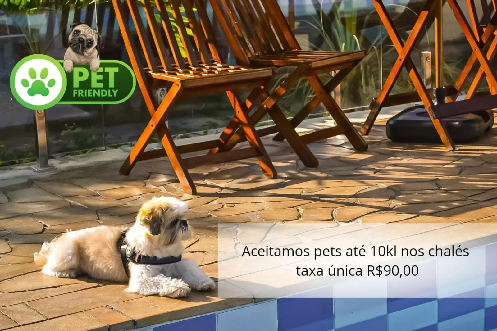 Pets in Pousada do Sol