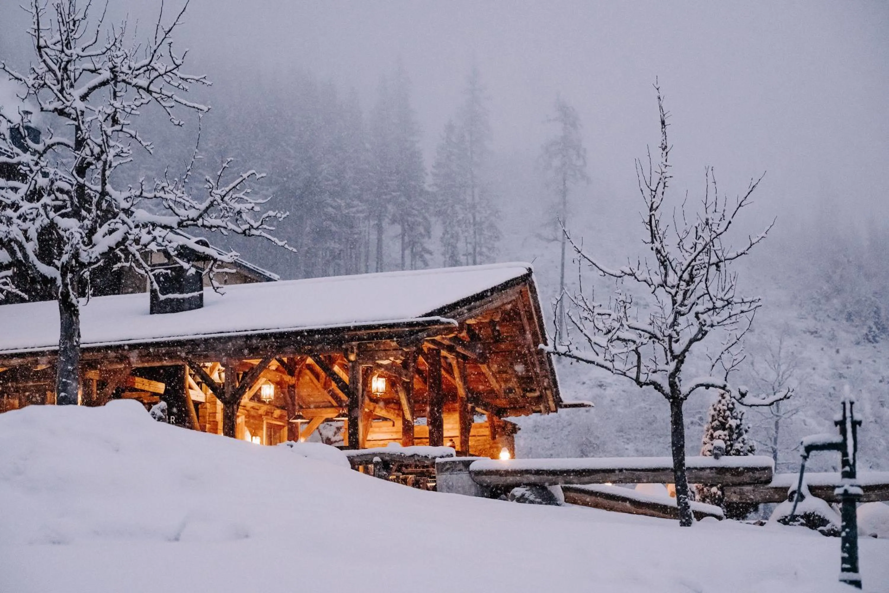 Garden in ASTER Boutique Hotel & Chalets