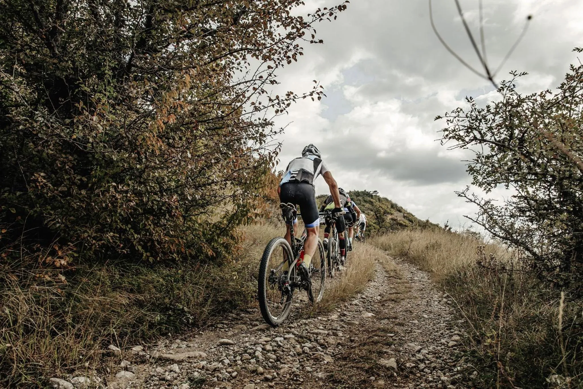 Cycling in ASTER Boutique Hotel & Chalets