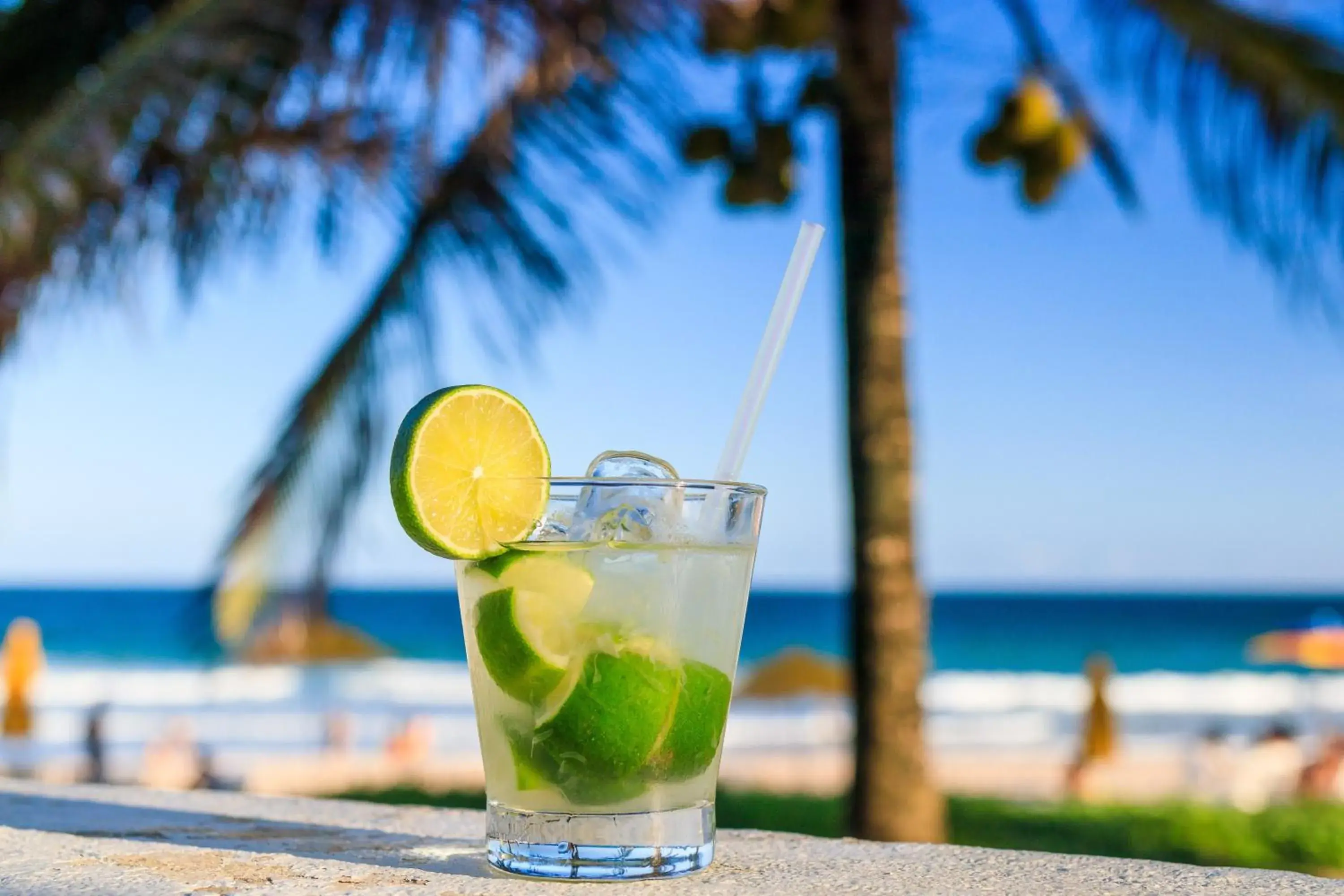 Restaurant/places to eat in Hotel Village Porto De Galinhas Restaurant/places to eat in Hotel Village Porto De Galinhas