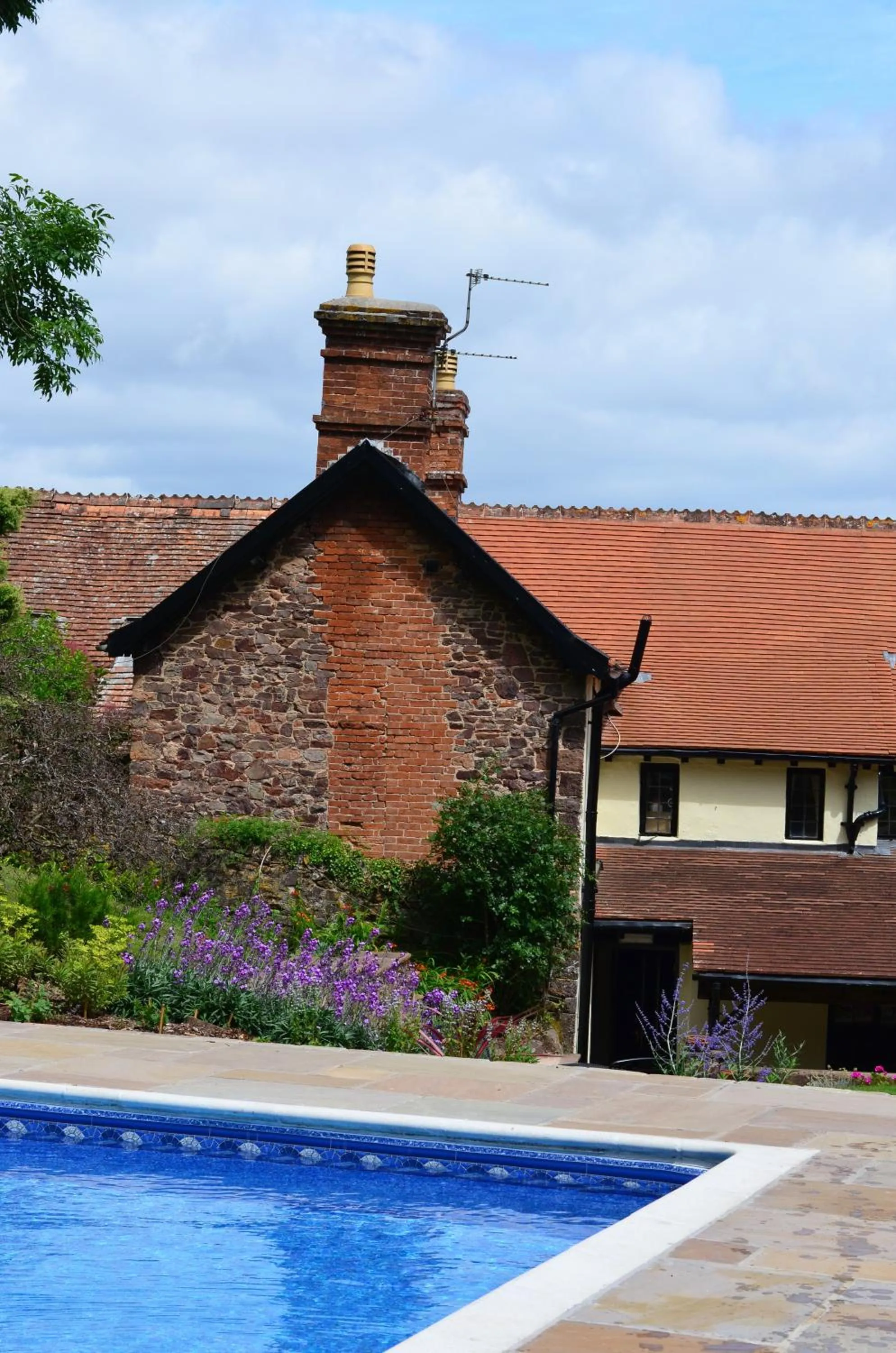 Garden in Castle Of Comfort Hotel