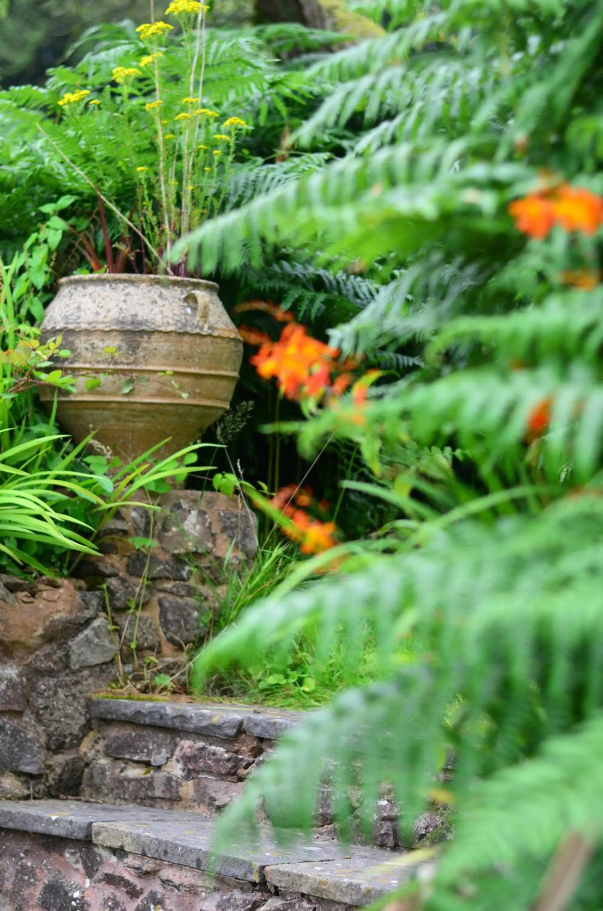 Garden in Castle Of Comfort Hotel