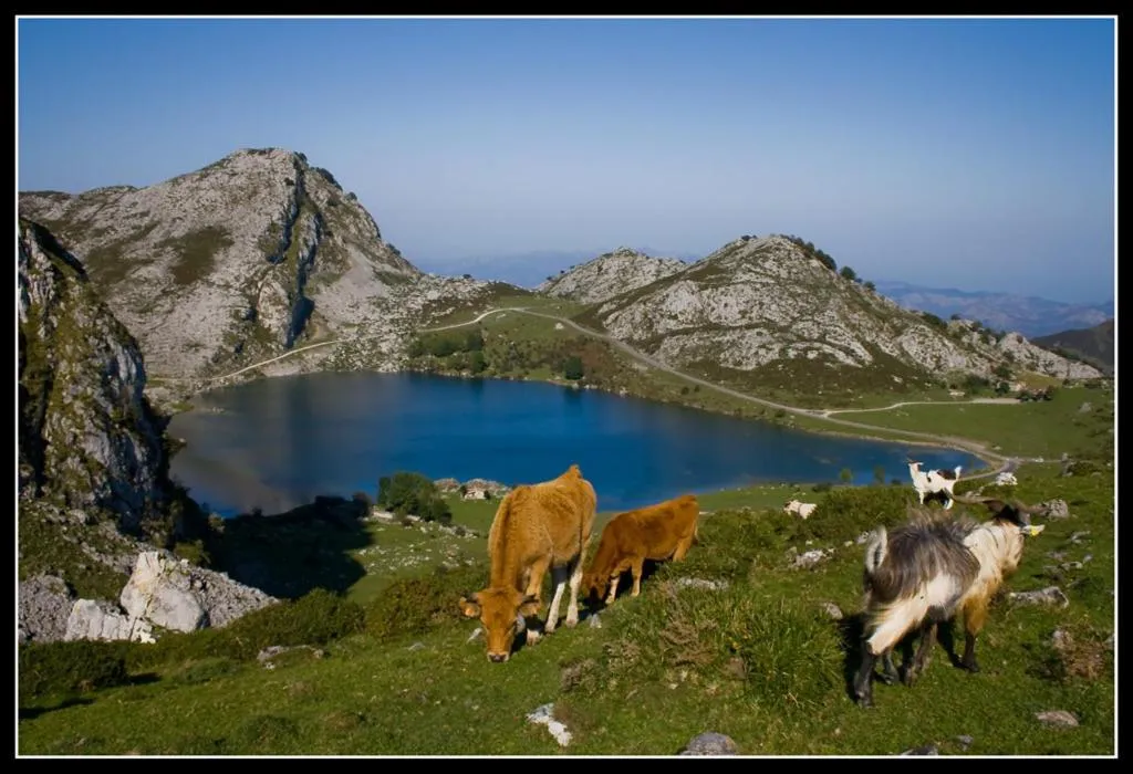 Area and facilities in Casa de Aldea El Frade