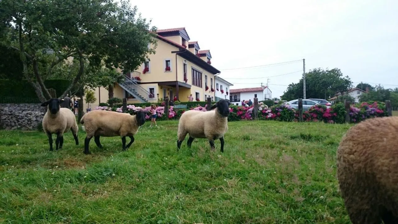 Pets in Casa de Aldea El Frade