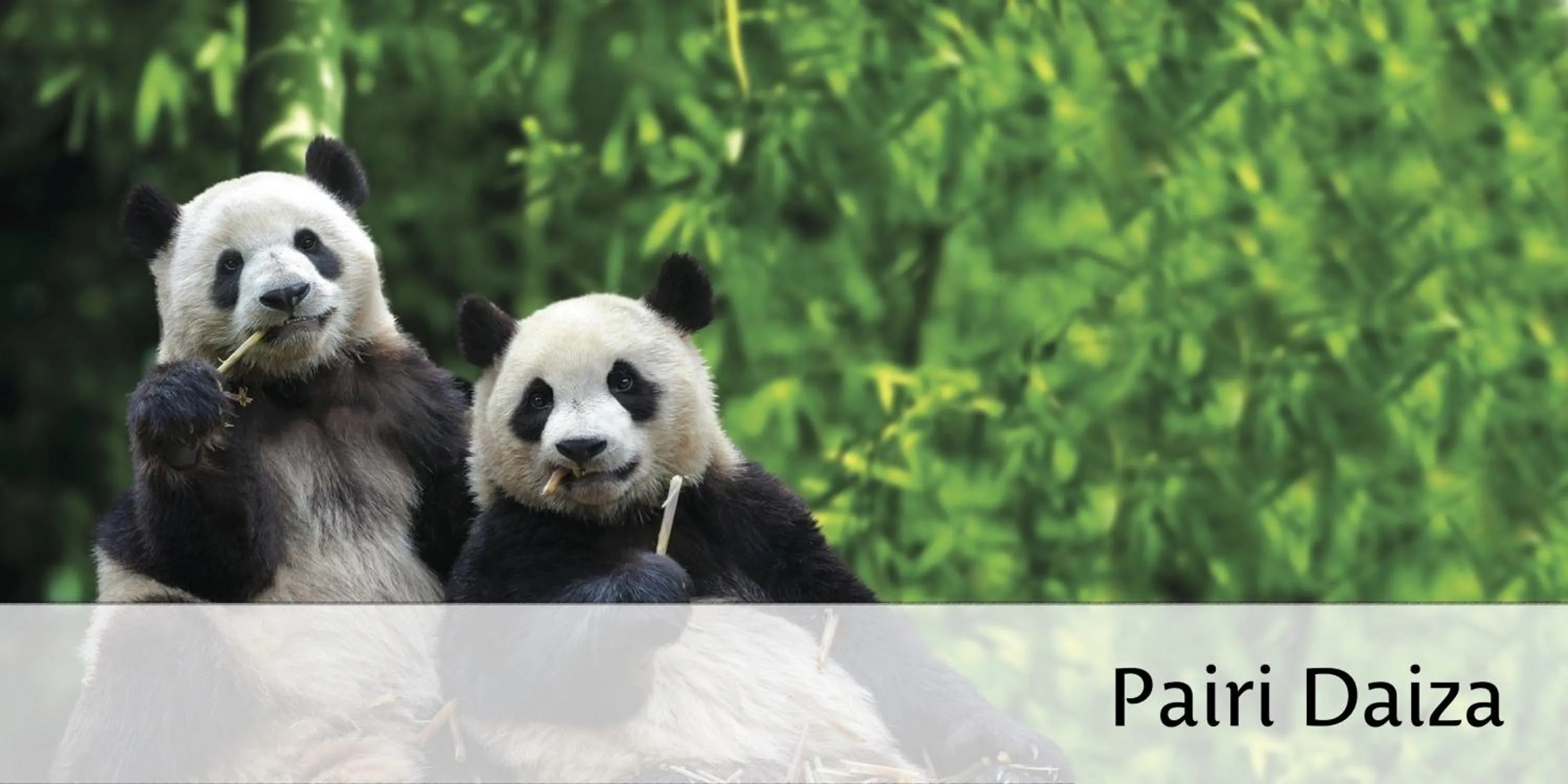 Animals in Hotel-Restaurant Horizon Ath-Lessines