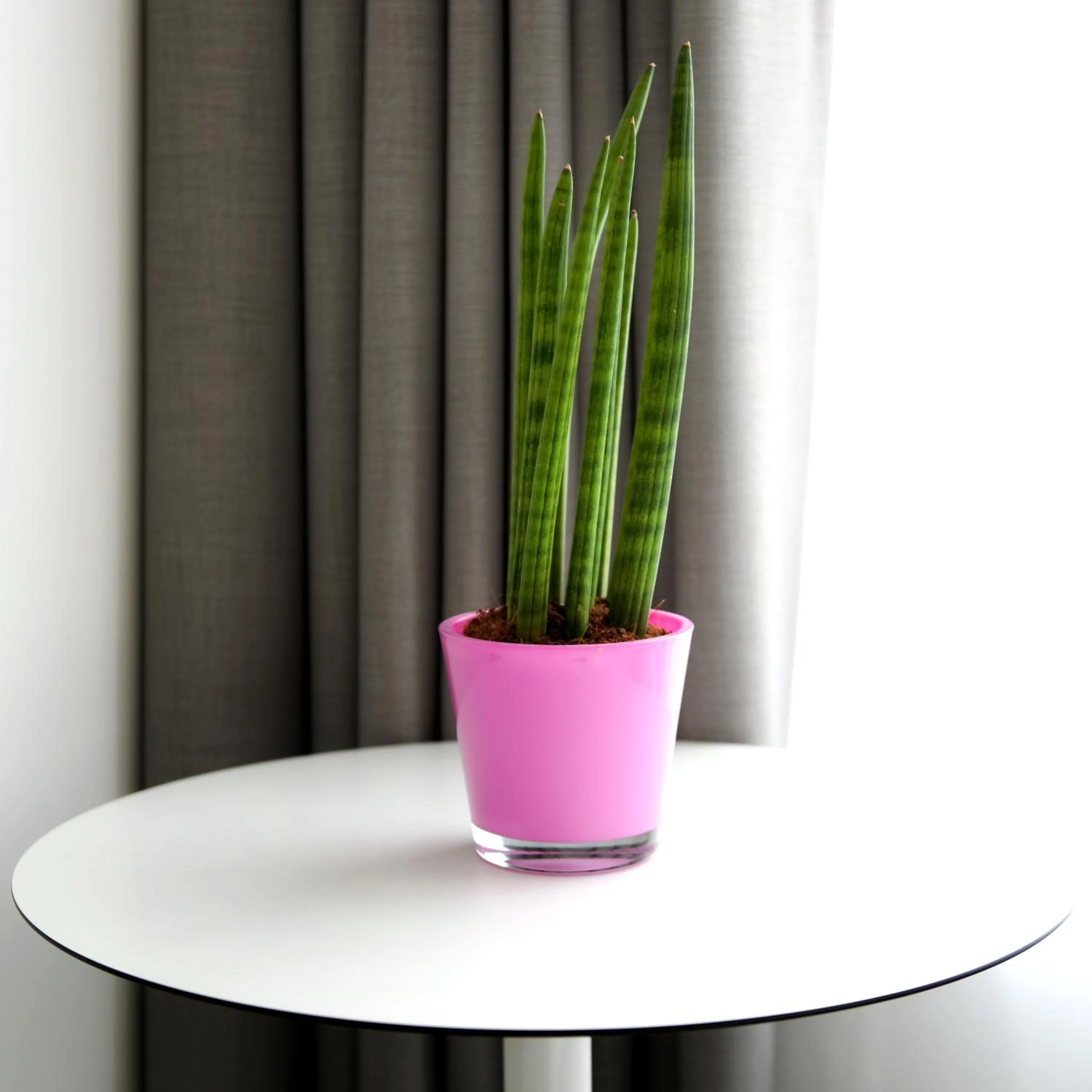 Decorative detail in Vintage Hotel Brussels