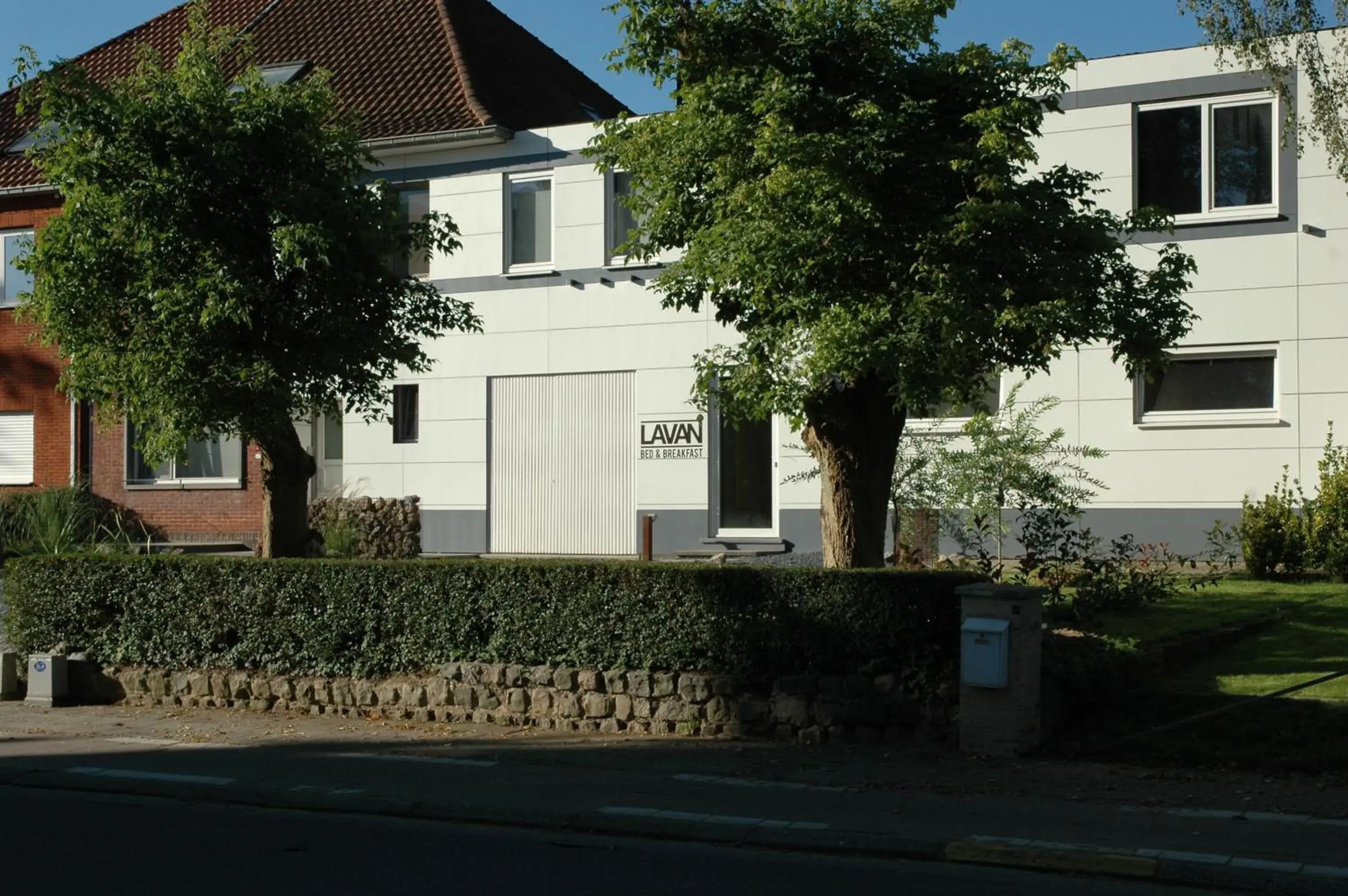 Lavan Lavan