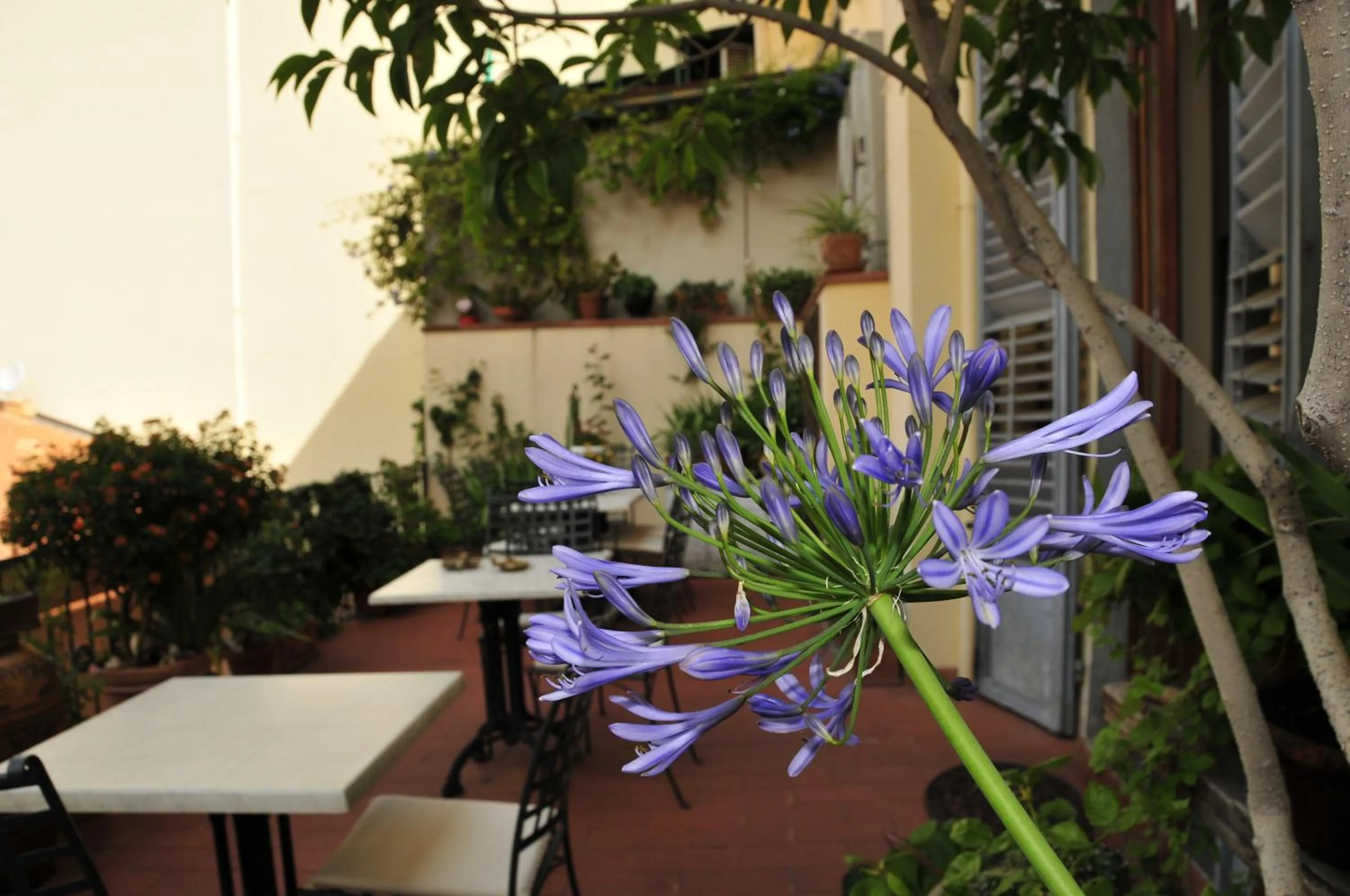Balcony/Terrace in L'Antica Porta Boutique B&B