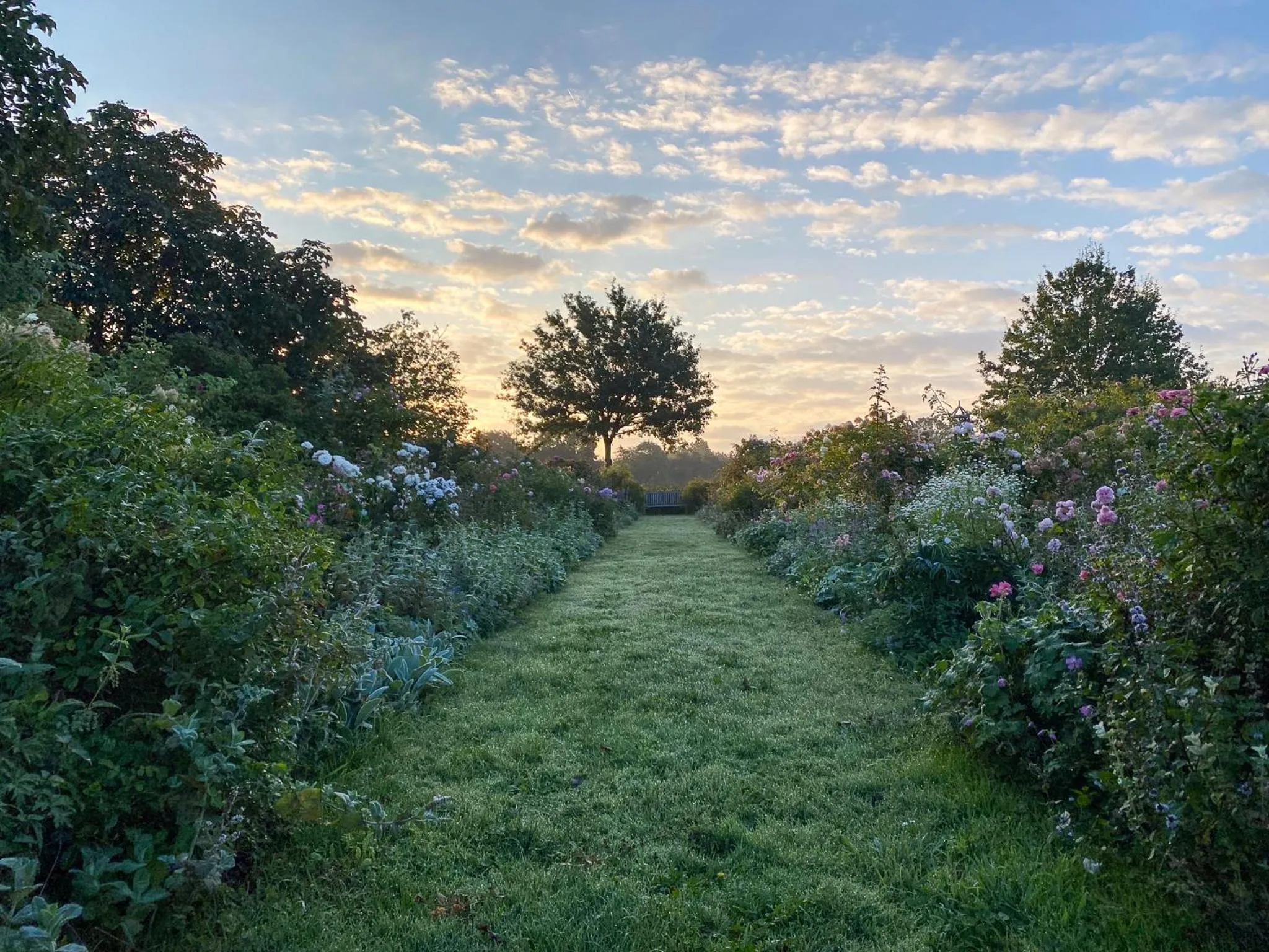 B&B Kasteelhoeve de Kerckhem