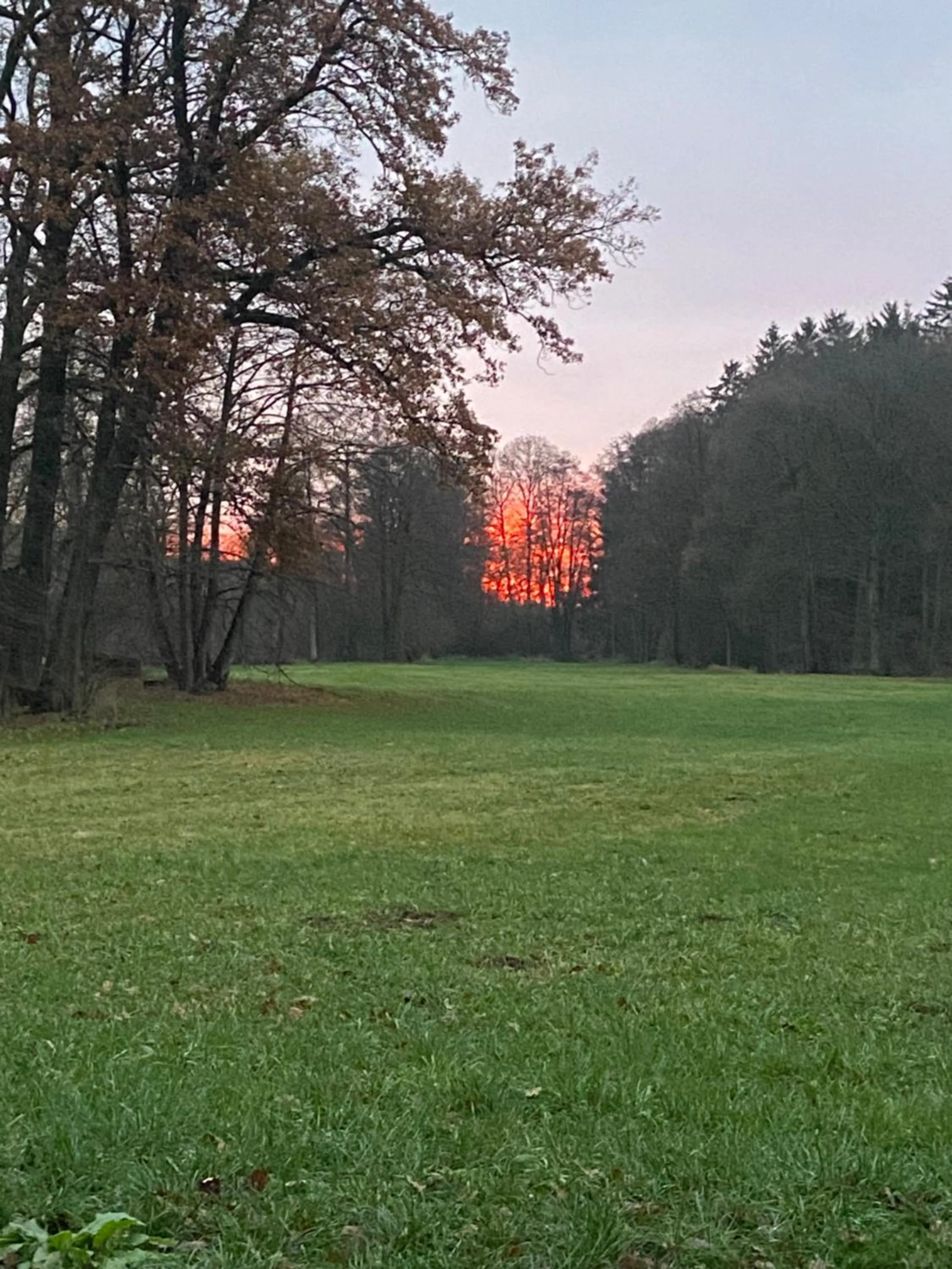 View (from property/room) in Landhotel Kahrmühle