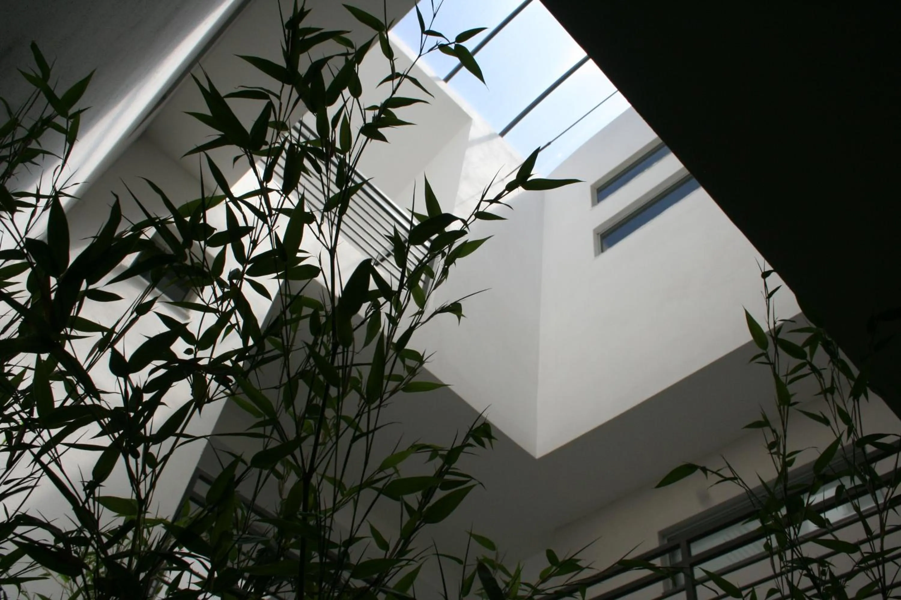 Property building in Levante Residence