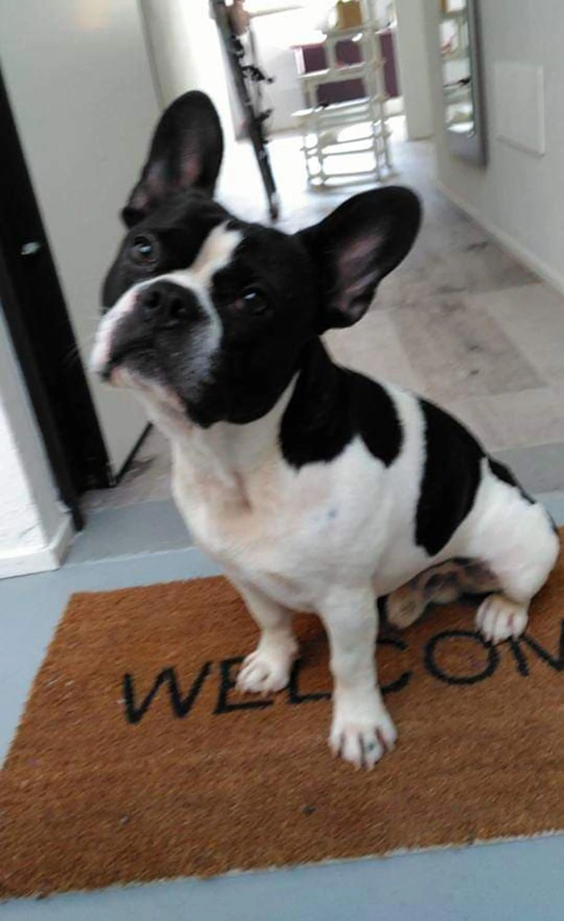 Activities in Levante Residence