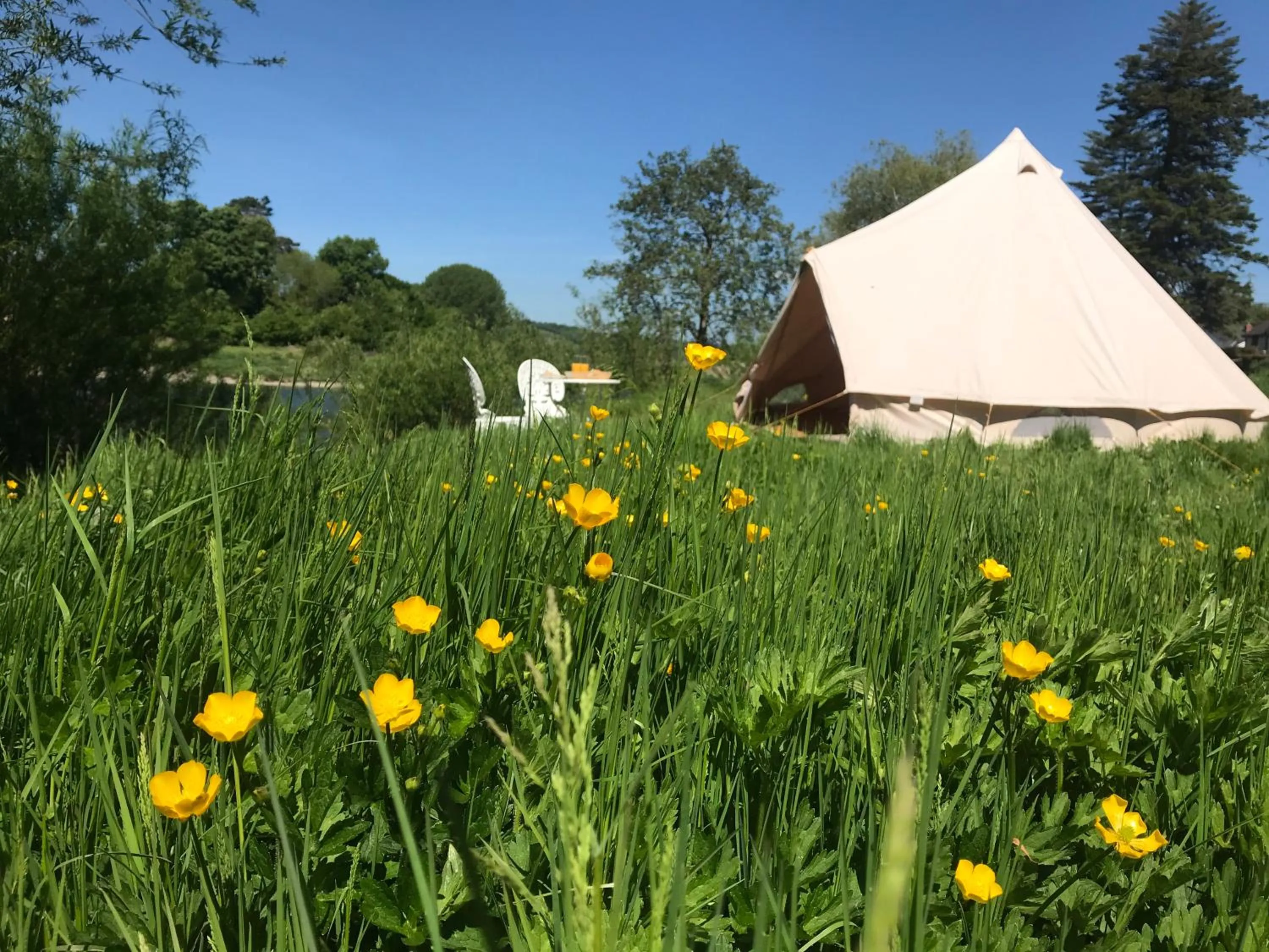Garden in Aberllynfi Riverside Guest House