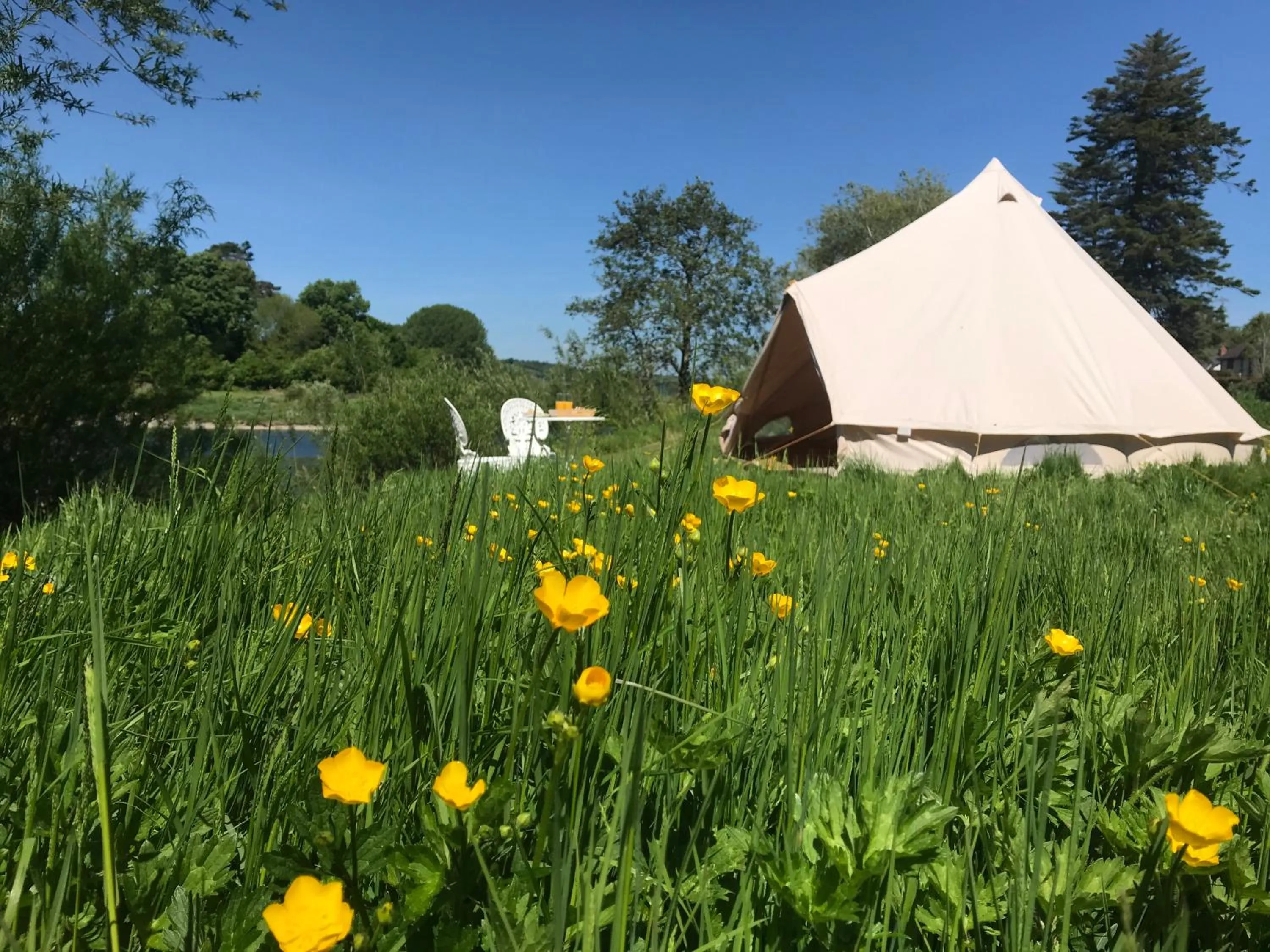 Natural landscape in Aberllynfi Riverside Guest House