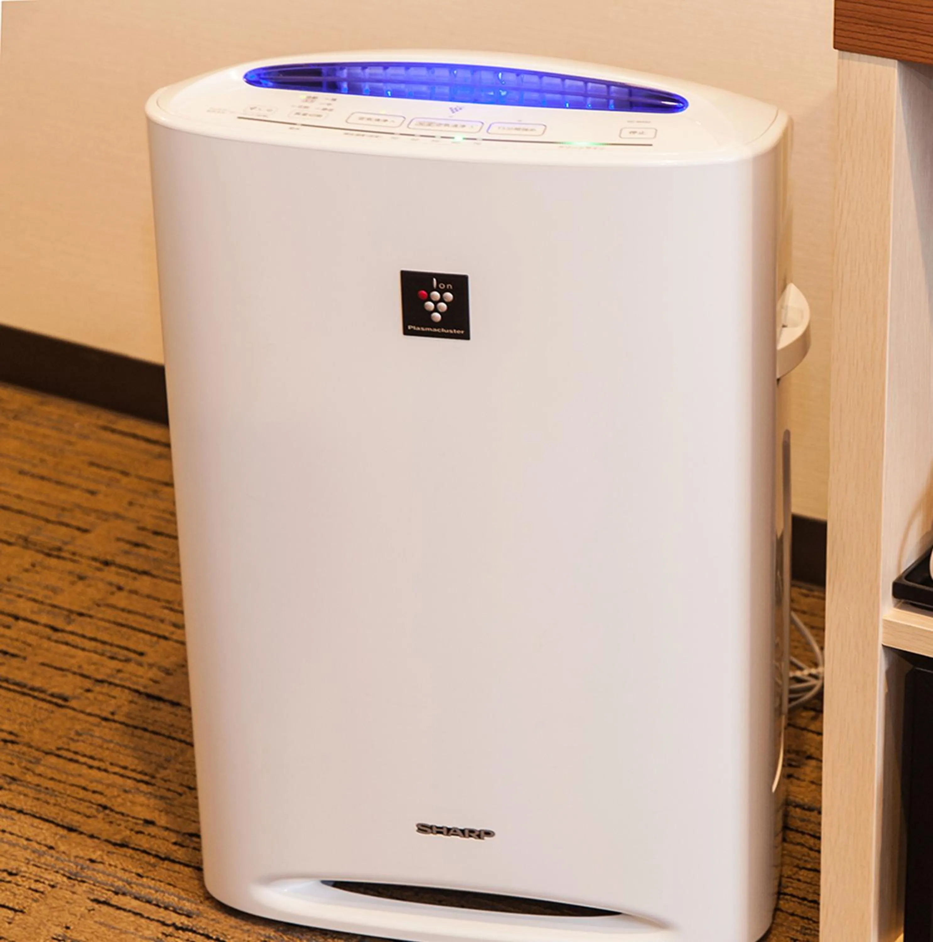 Other in Hotel Mystays Premier Akasaka