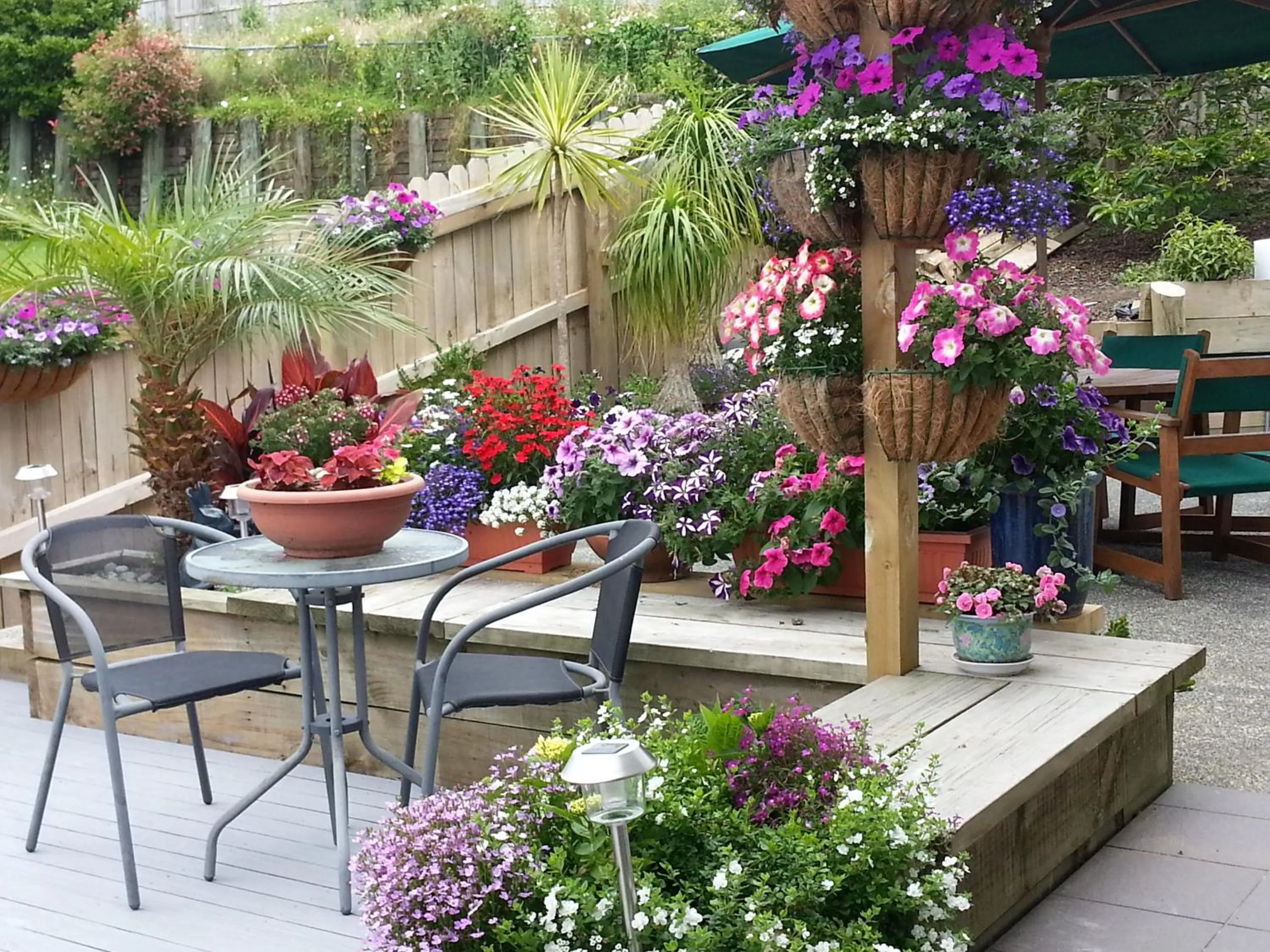 Toilet in Lush & Co Auckland Bed & Breakfast