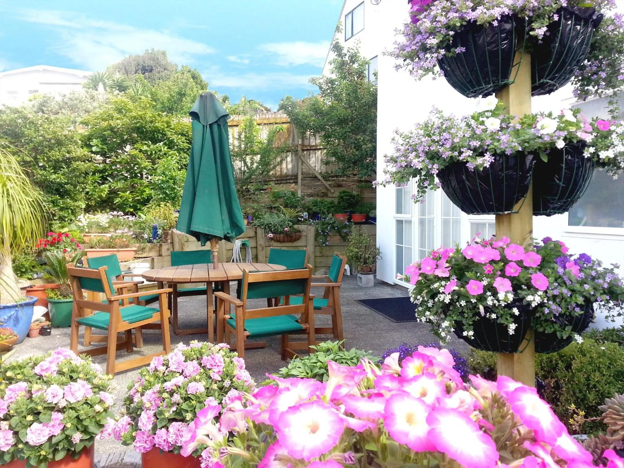 Spring in Lush & Co Auckland Bed & Breakfast