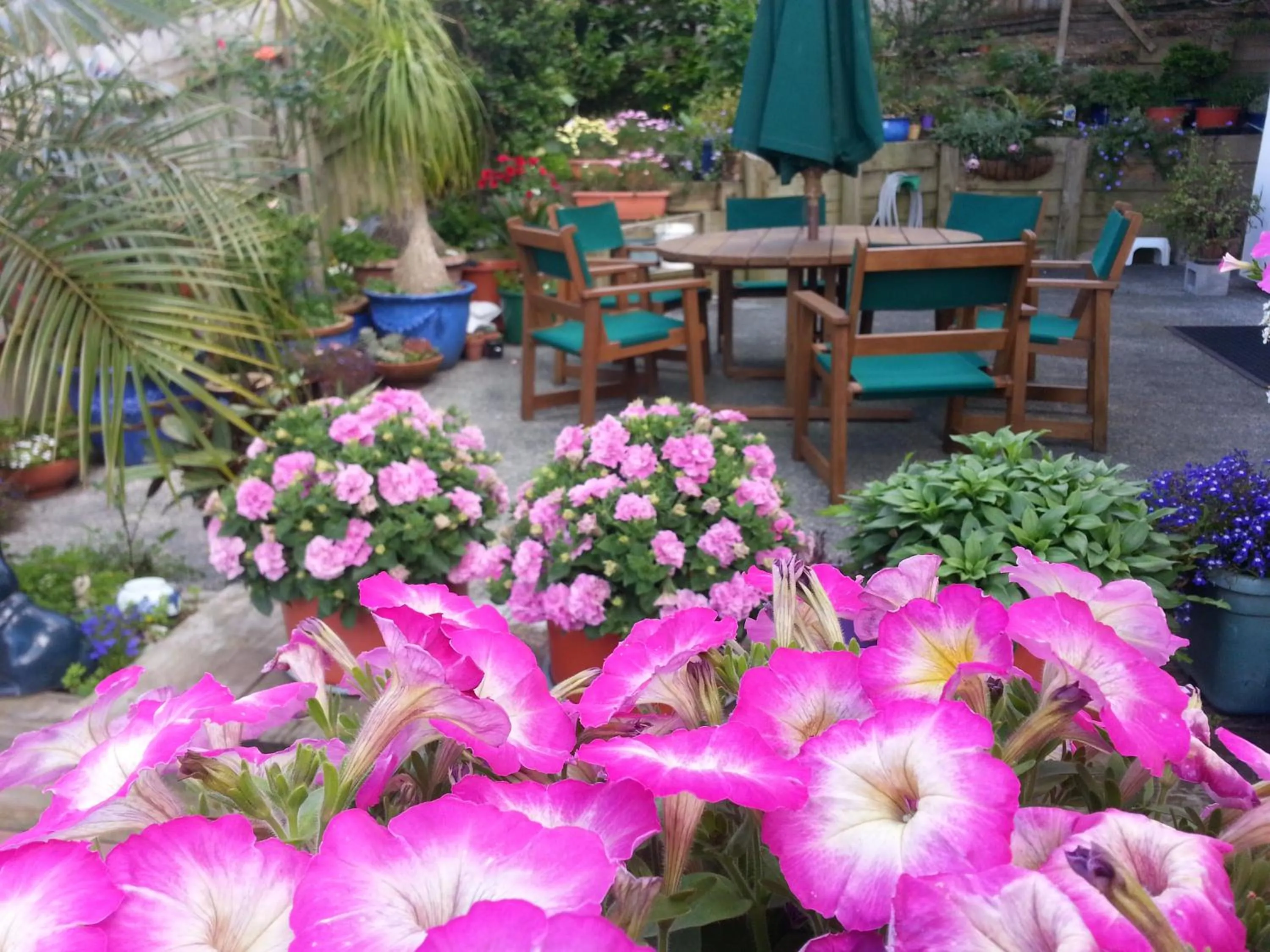 Property building in Lush & Co Auckland Bed & Breakfast