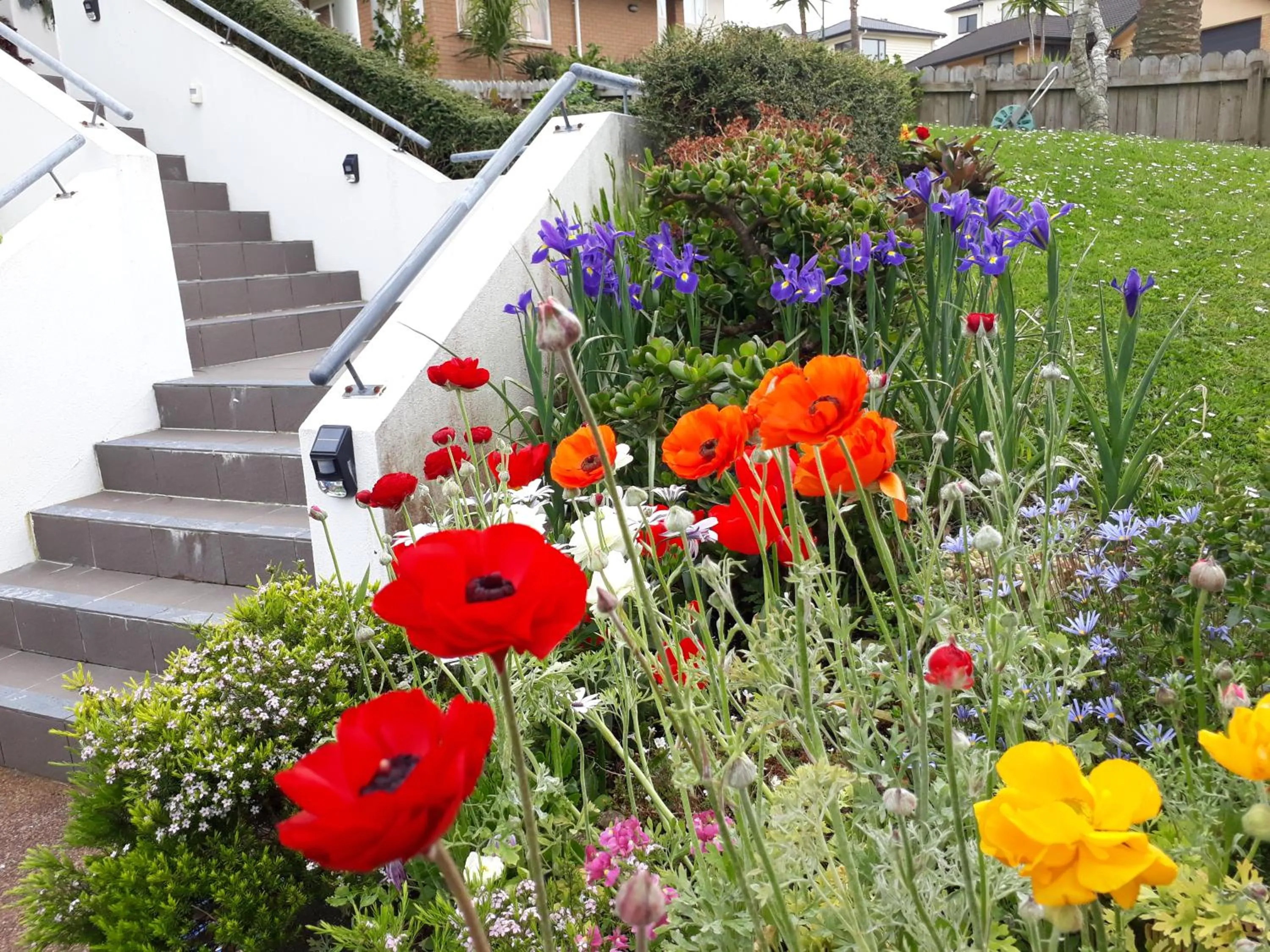 Spring in Lush & Co Auckland Bed & Breakfast