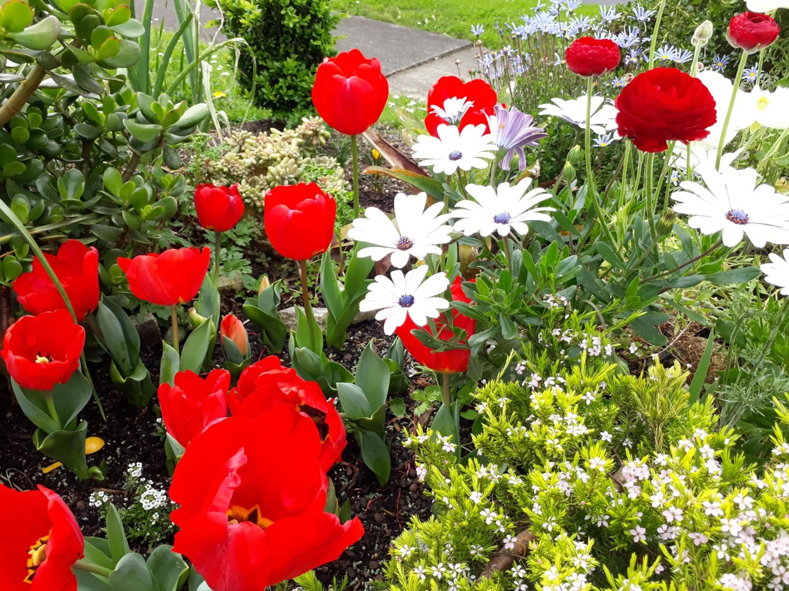 Spring in Lush & Co Auckland Bed & Breakfast