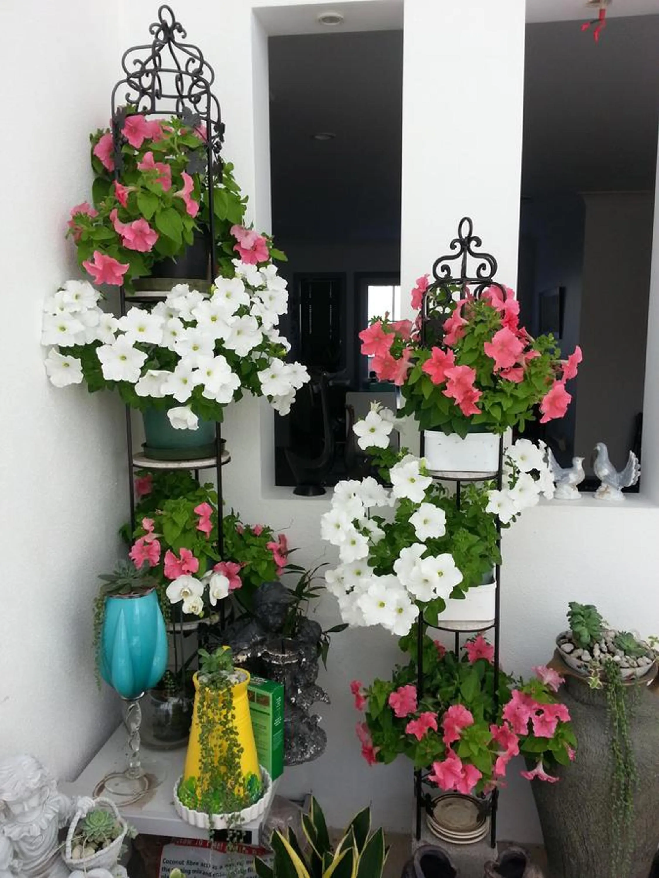 Property building in Lush & Co Auckland Bed & Breakfast