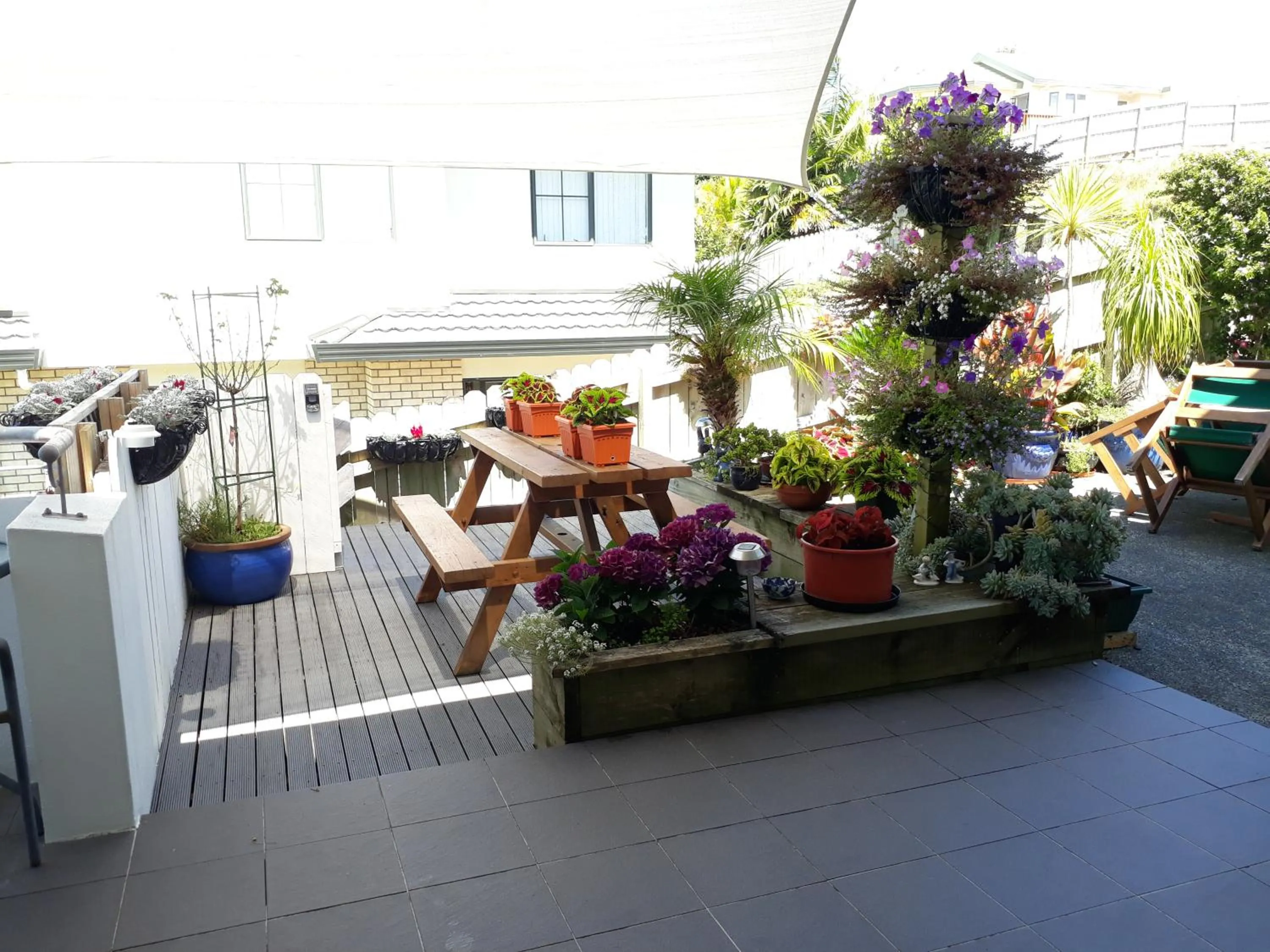 Patio in Lush & Co Auckland Bed & Breakfast