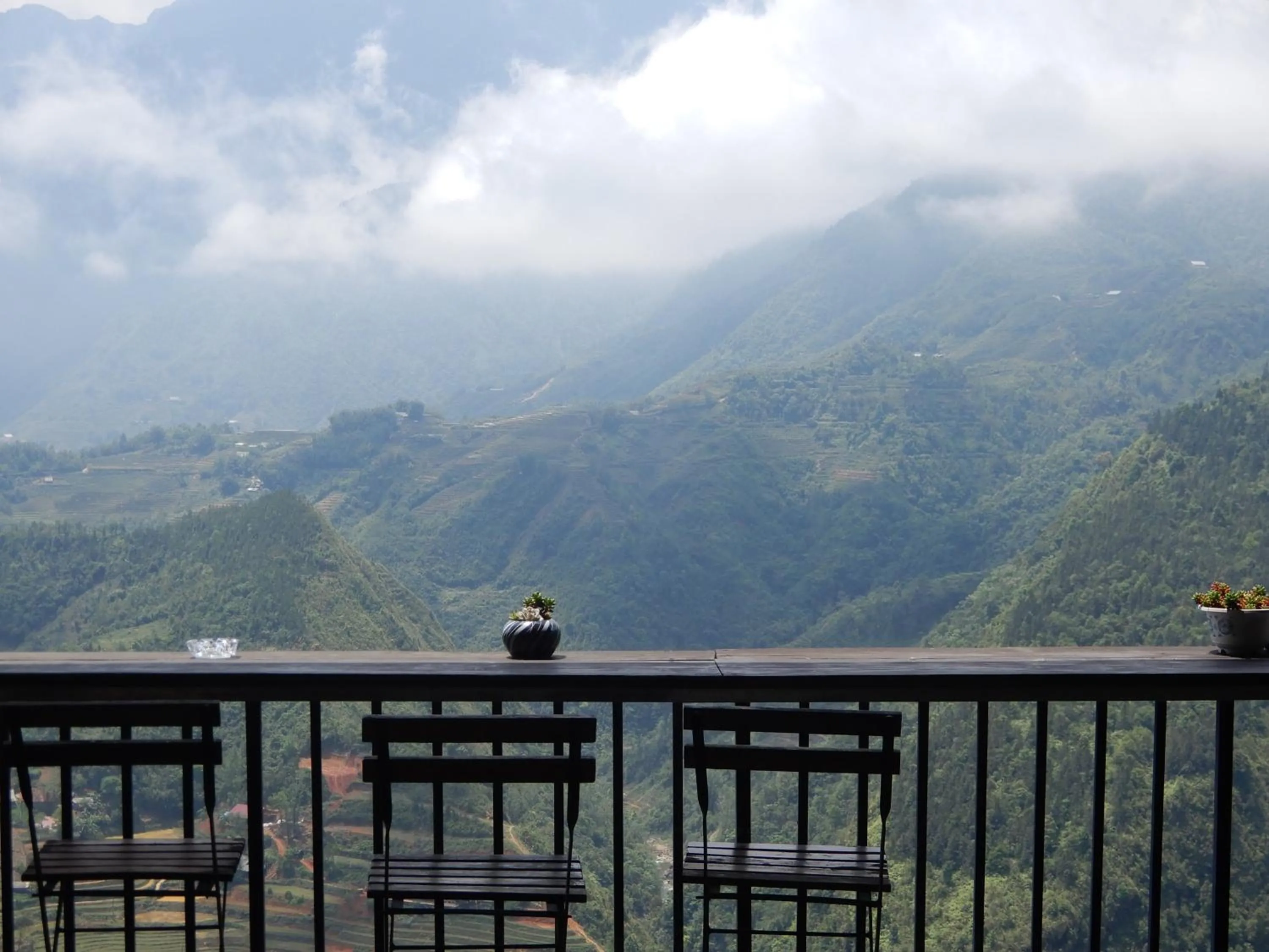 Restaurant/places to eat in Catcat Garden House