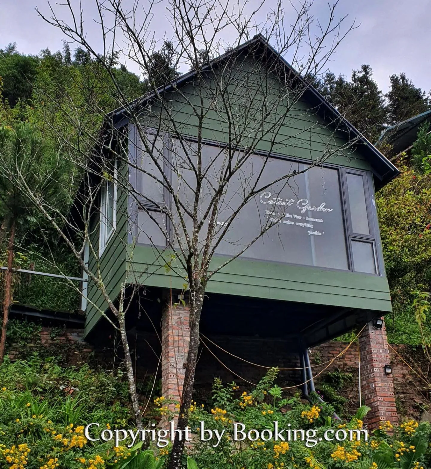 Property building in Catcat Garden House