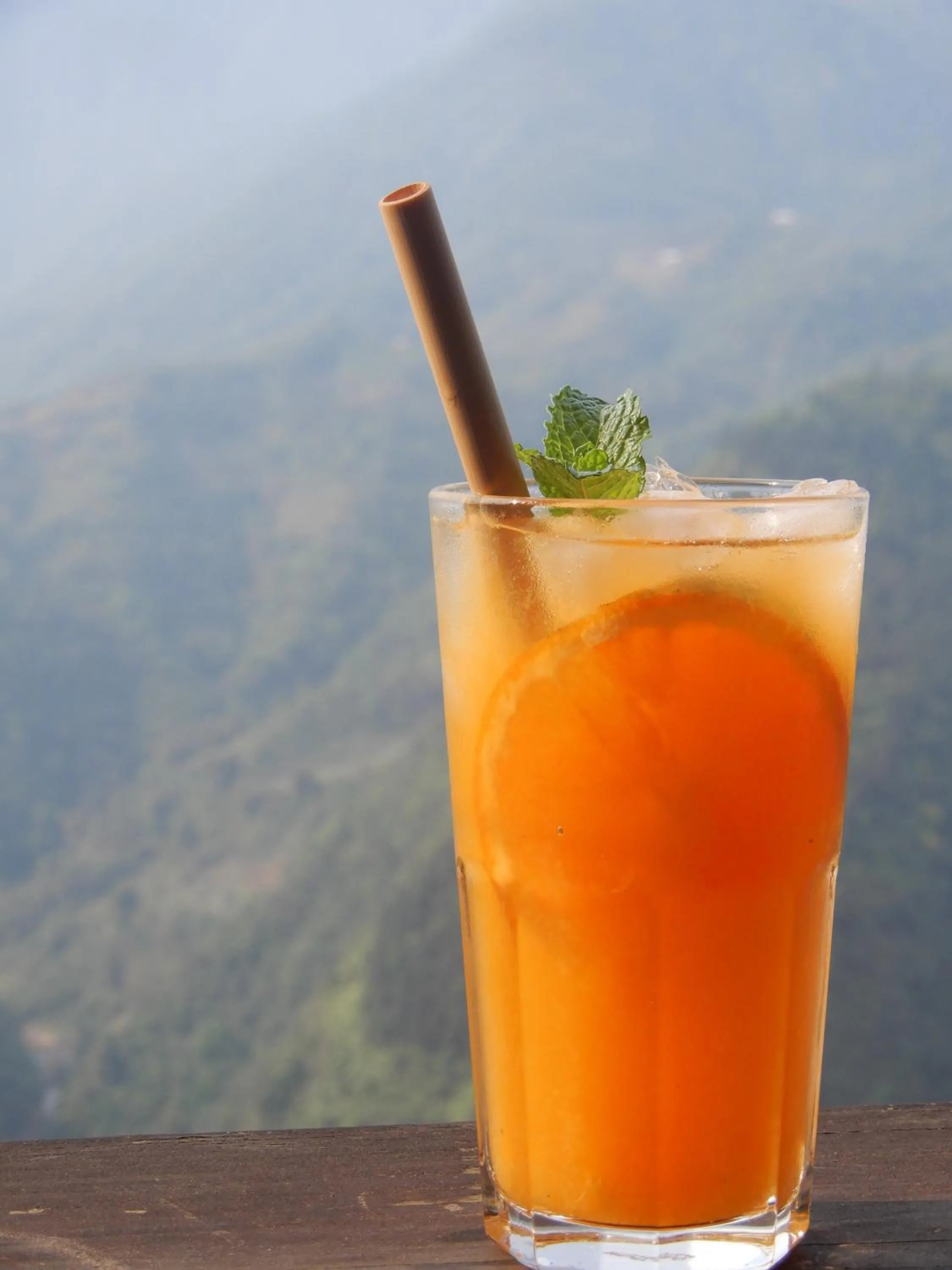 Drinks in Catcat Garden House