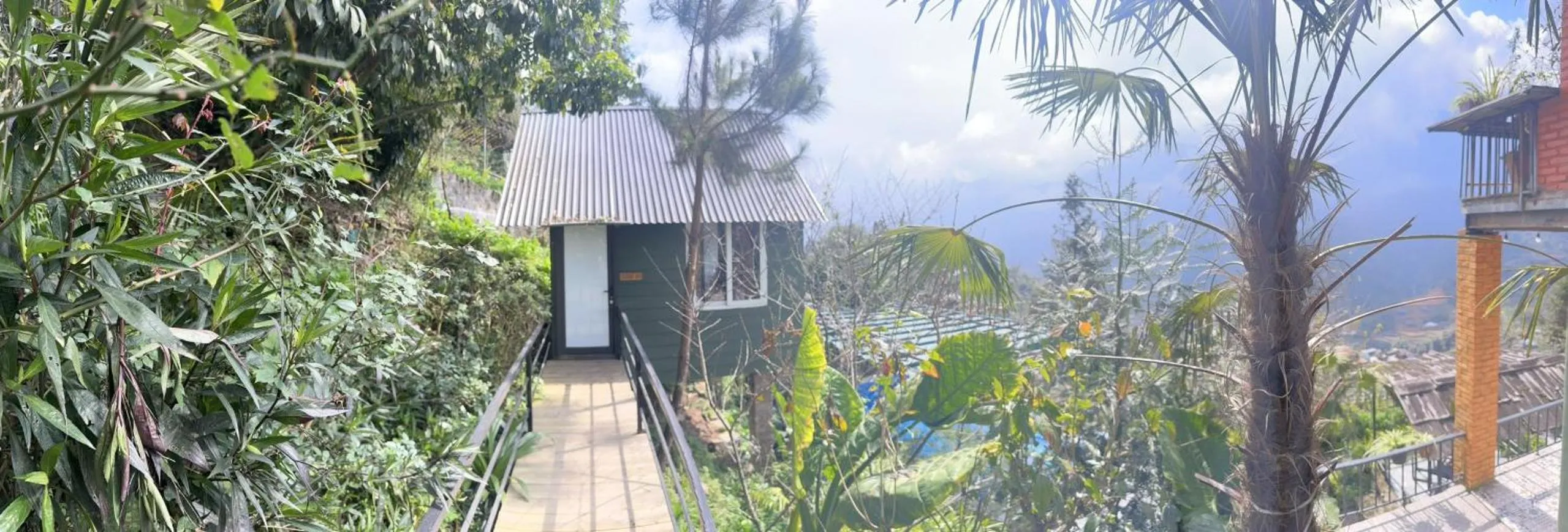 Property building in Catcat Garden House
