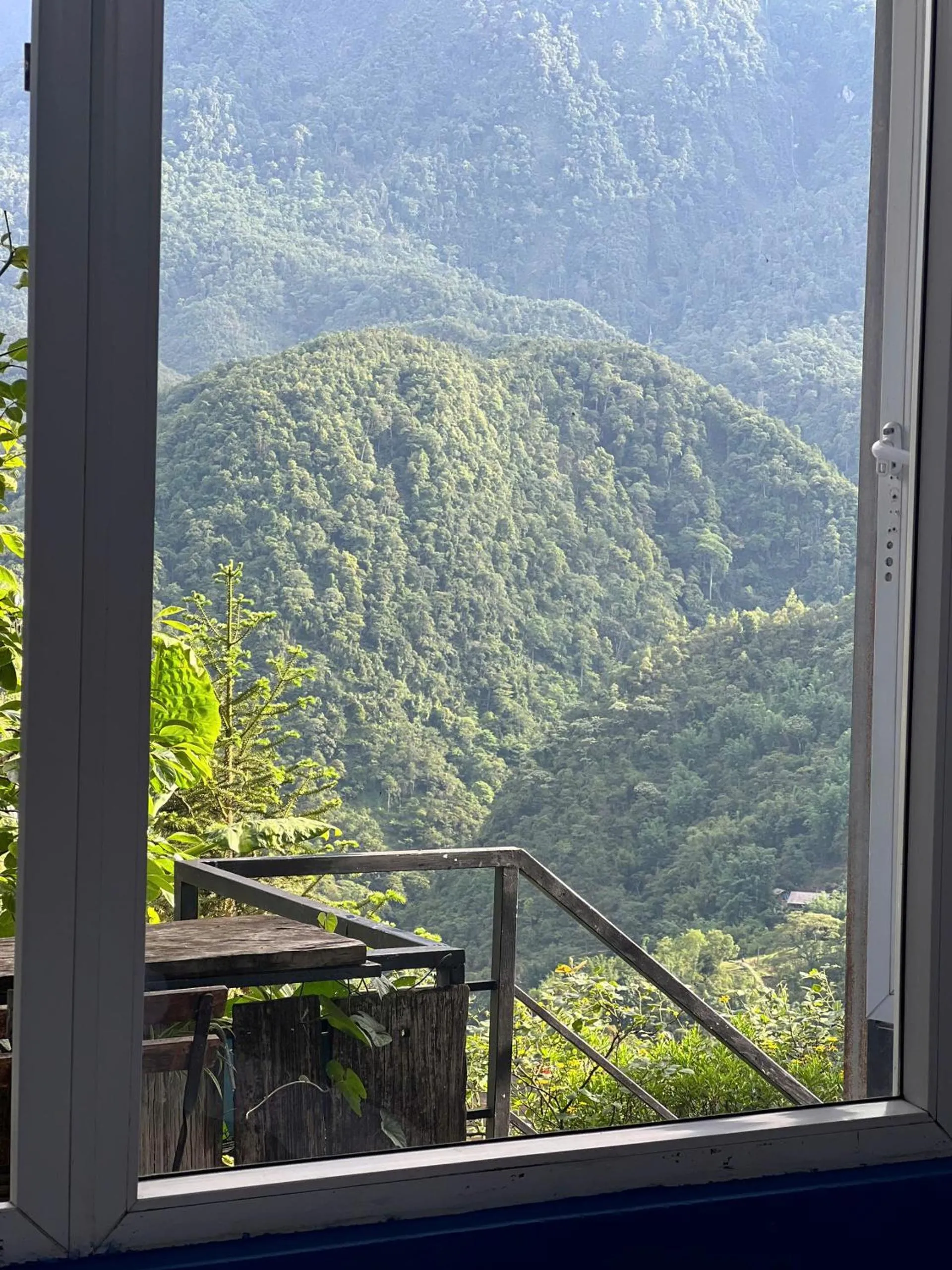 Natural landscape in Catcat Garden House
