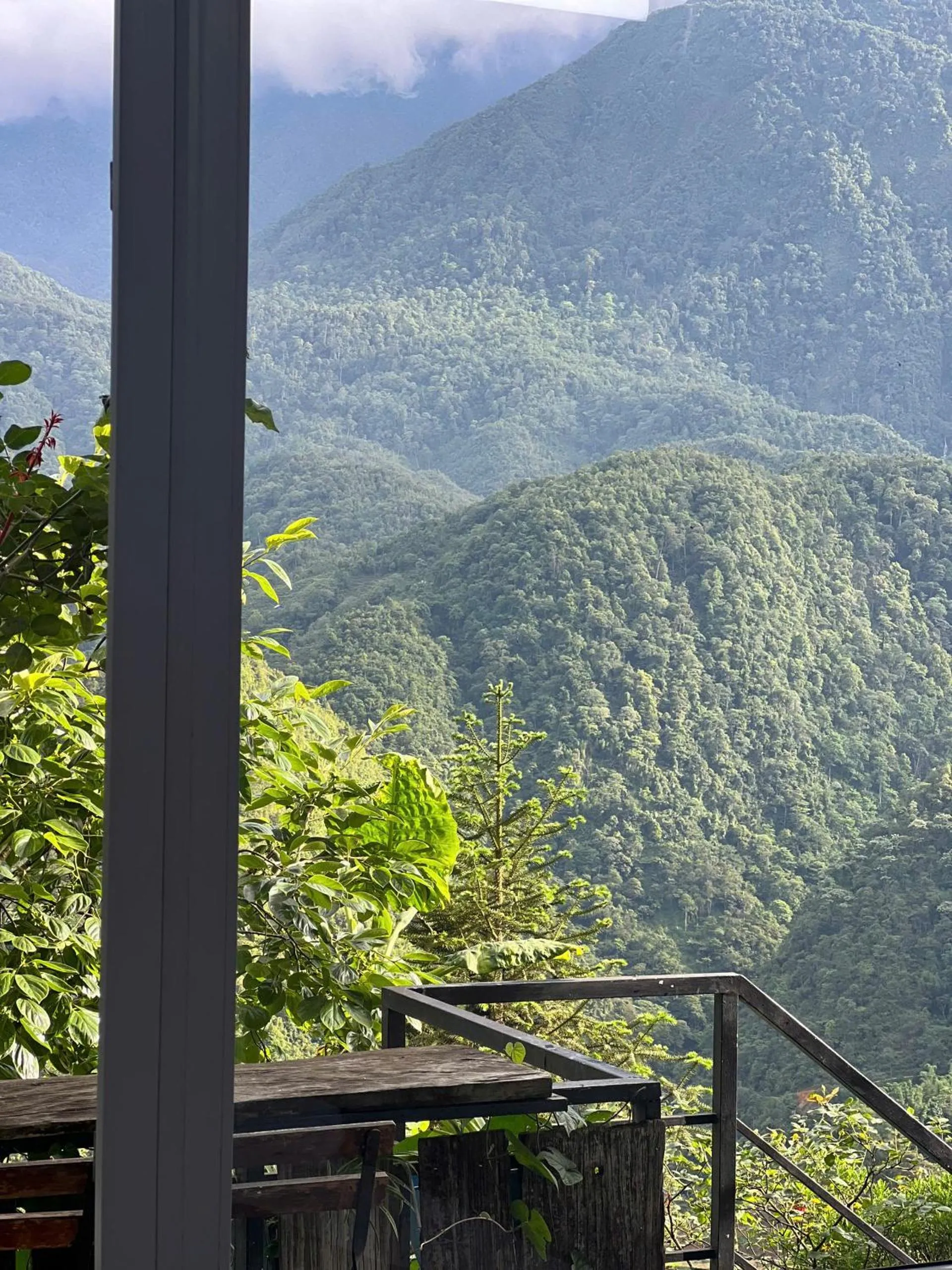 Mountain view in Catcat Garden House