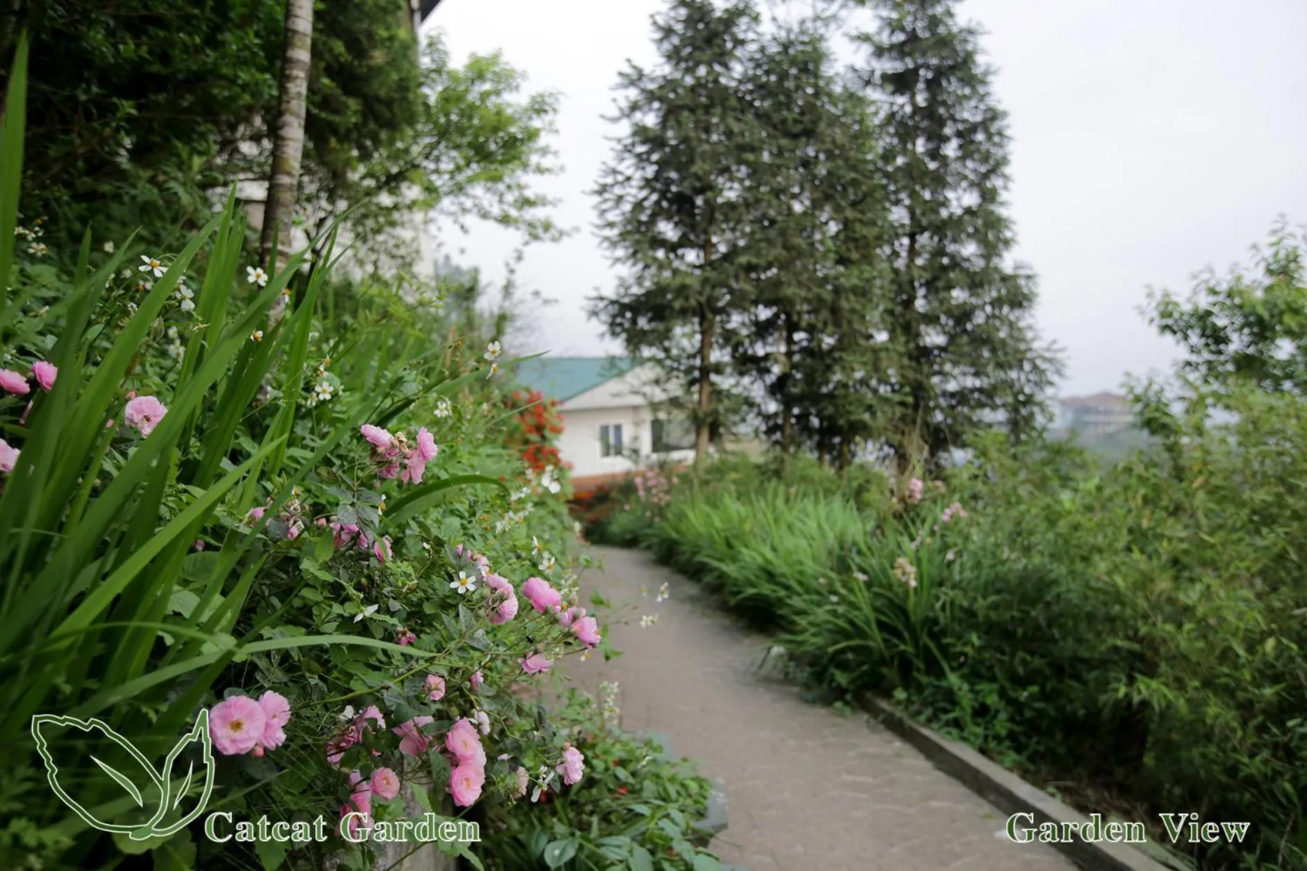 Property building in Catcat Garden House