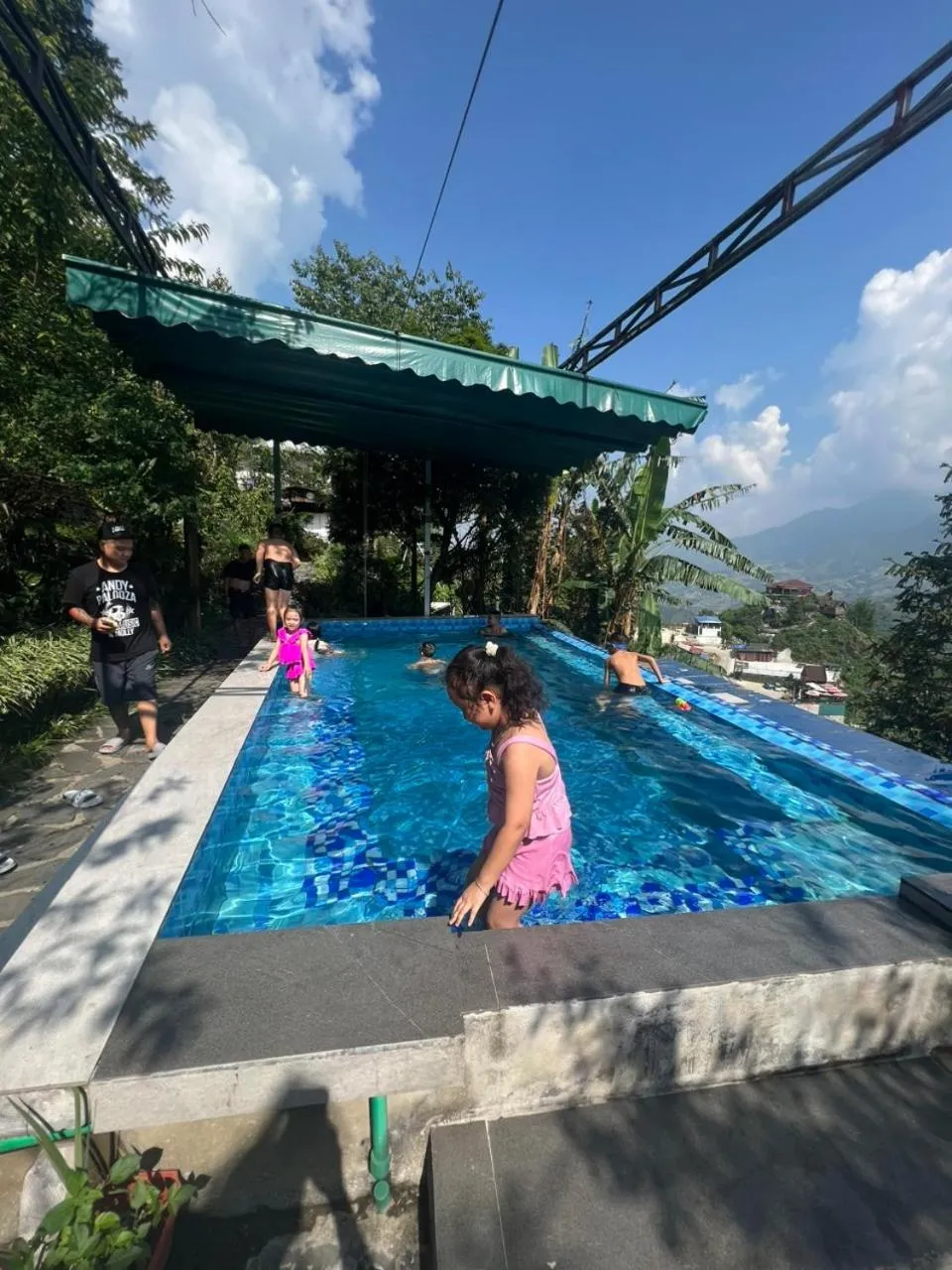 Swimming pool in Catcat Garden House