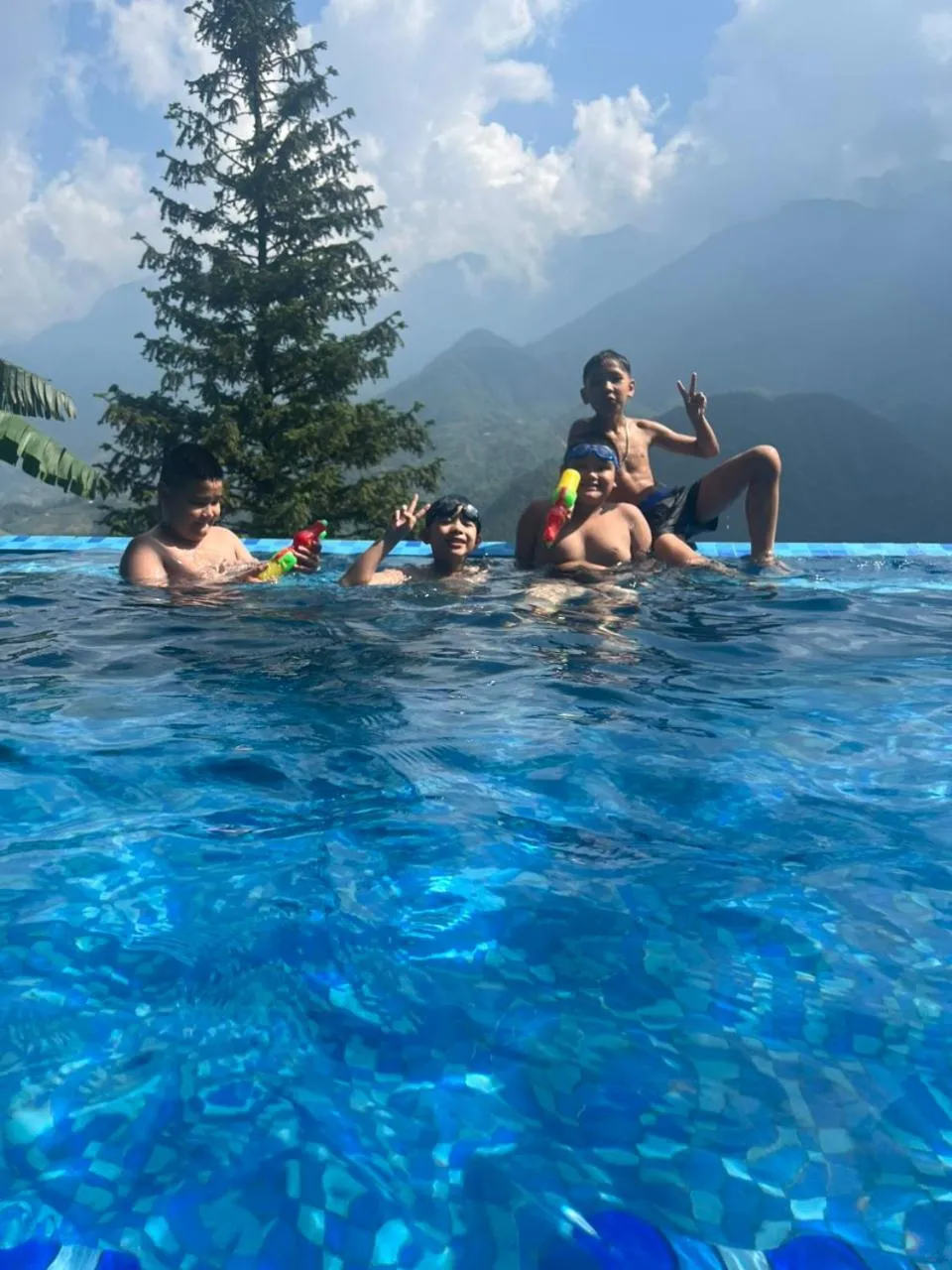 Swimming pool in Catcat Garden House