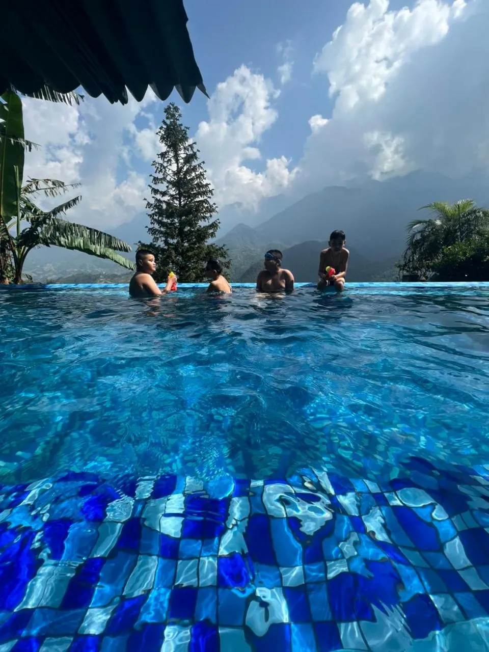 Swimming pool in Catcat Garden House