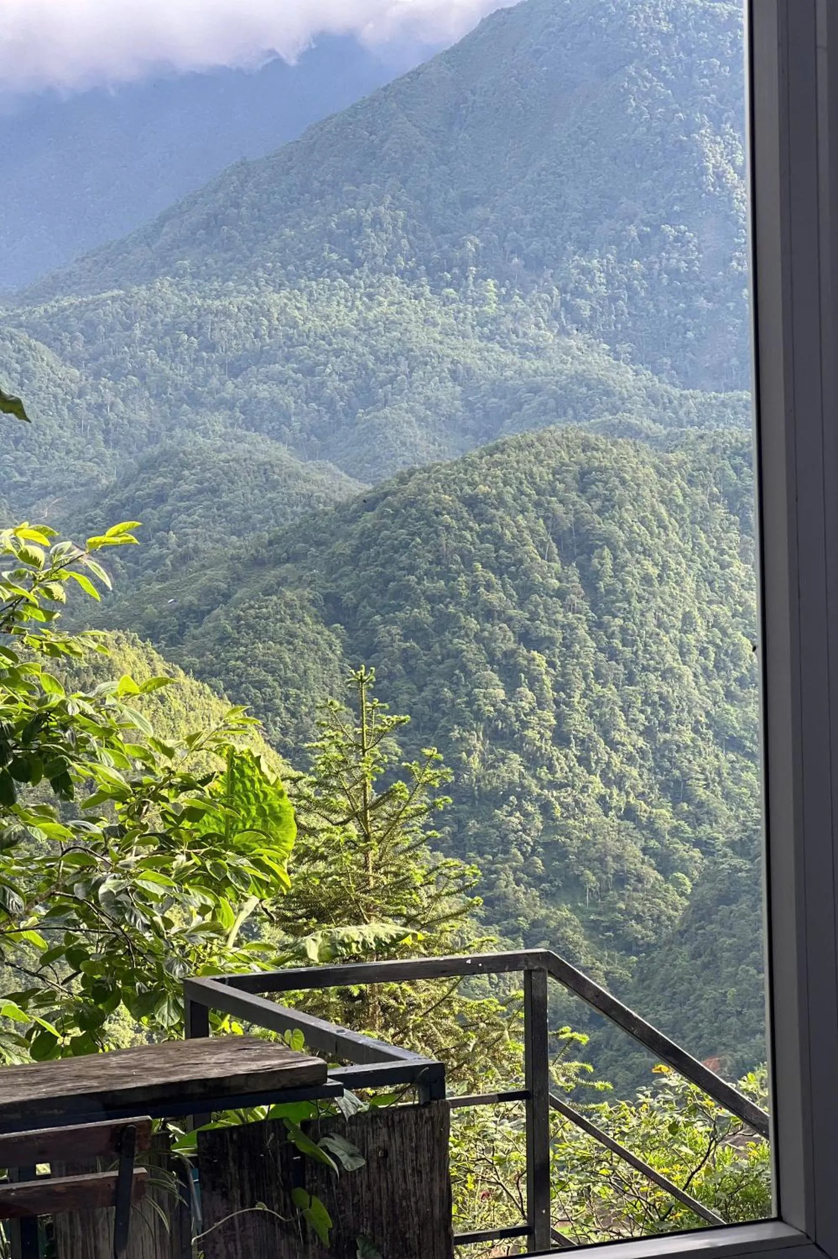 Natural landscape in Catcat Garden House