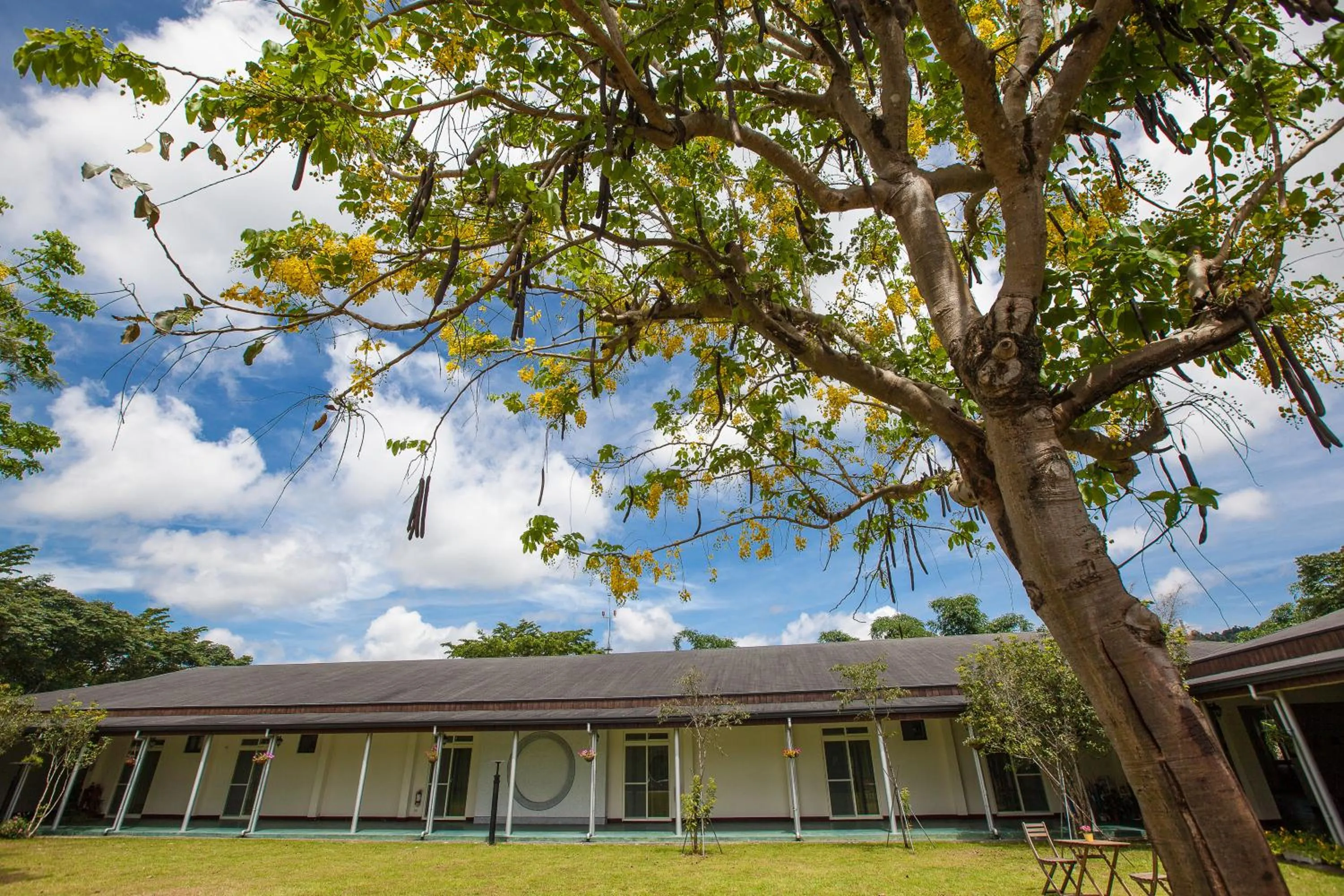 Day in NCNU Campus Inn暨大行旅